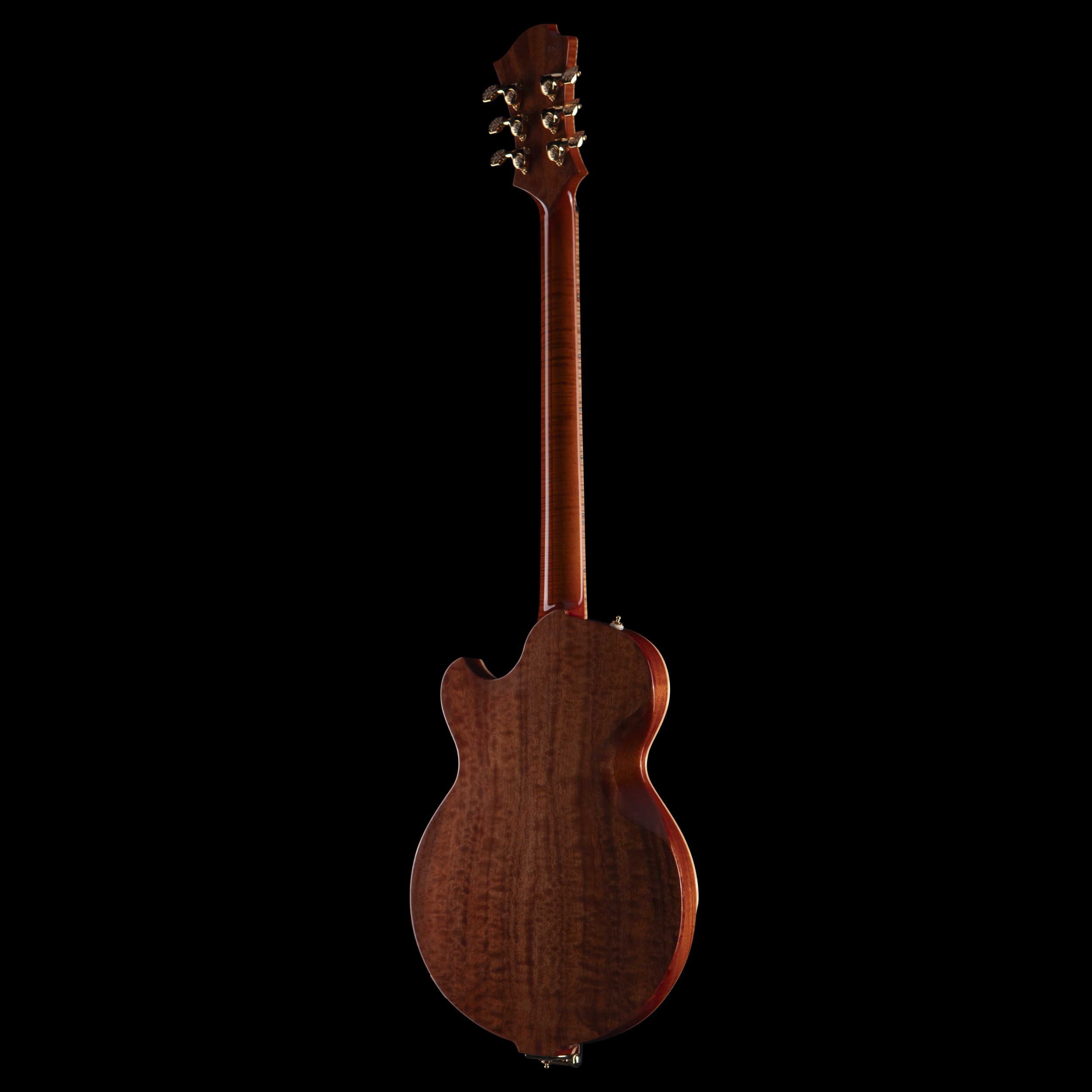 Back of a wooden Djerjinski guitar, showing the tuning pegs and neck, against a black background.