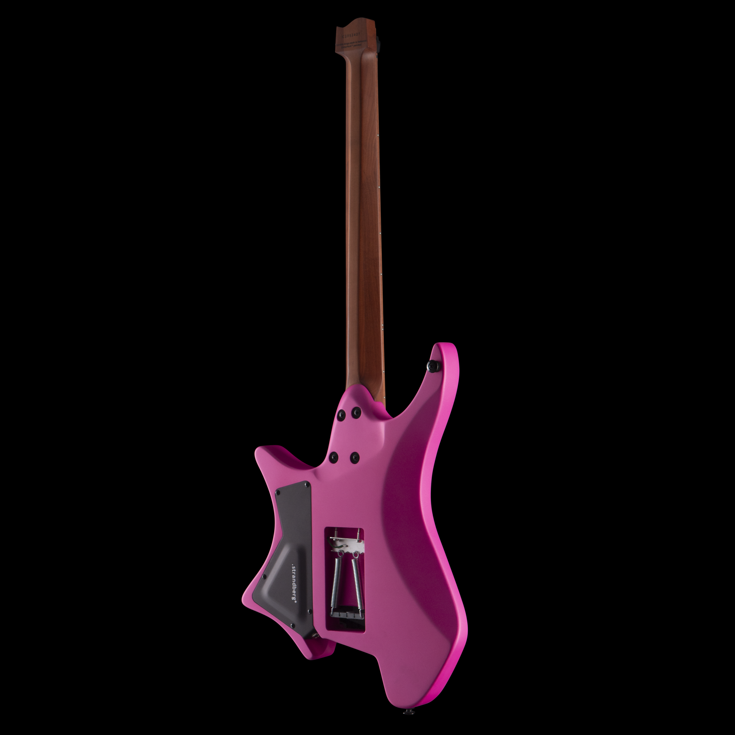 enTour 2026 Strandberg Boden Standard N2.6T - Back Full.png