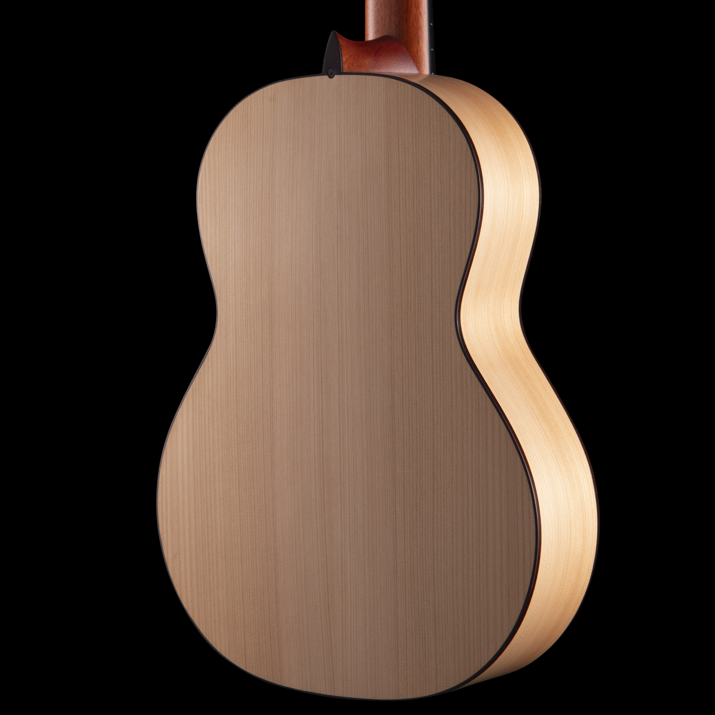 enTour 2026 R Robinson Guitar Flamenco - Body Back.png