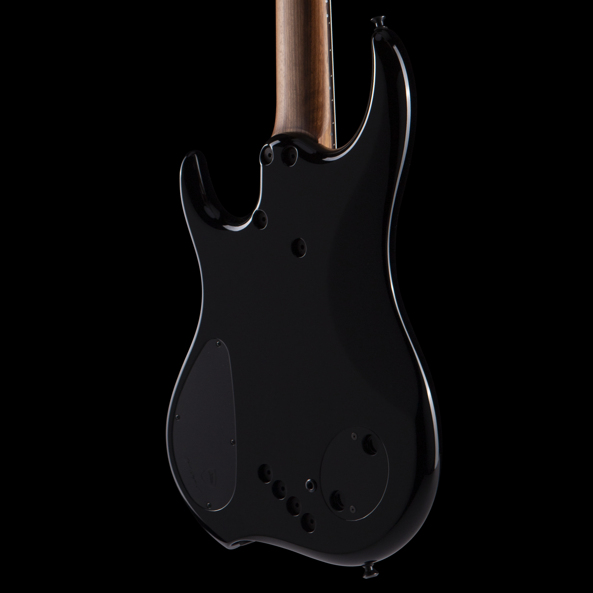 enTour 2026 Dingwall Bass Z3 - Body Back.png