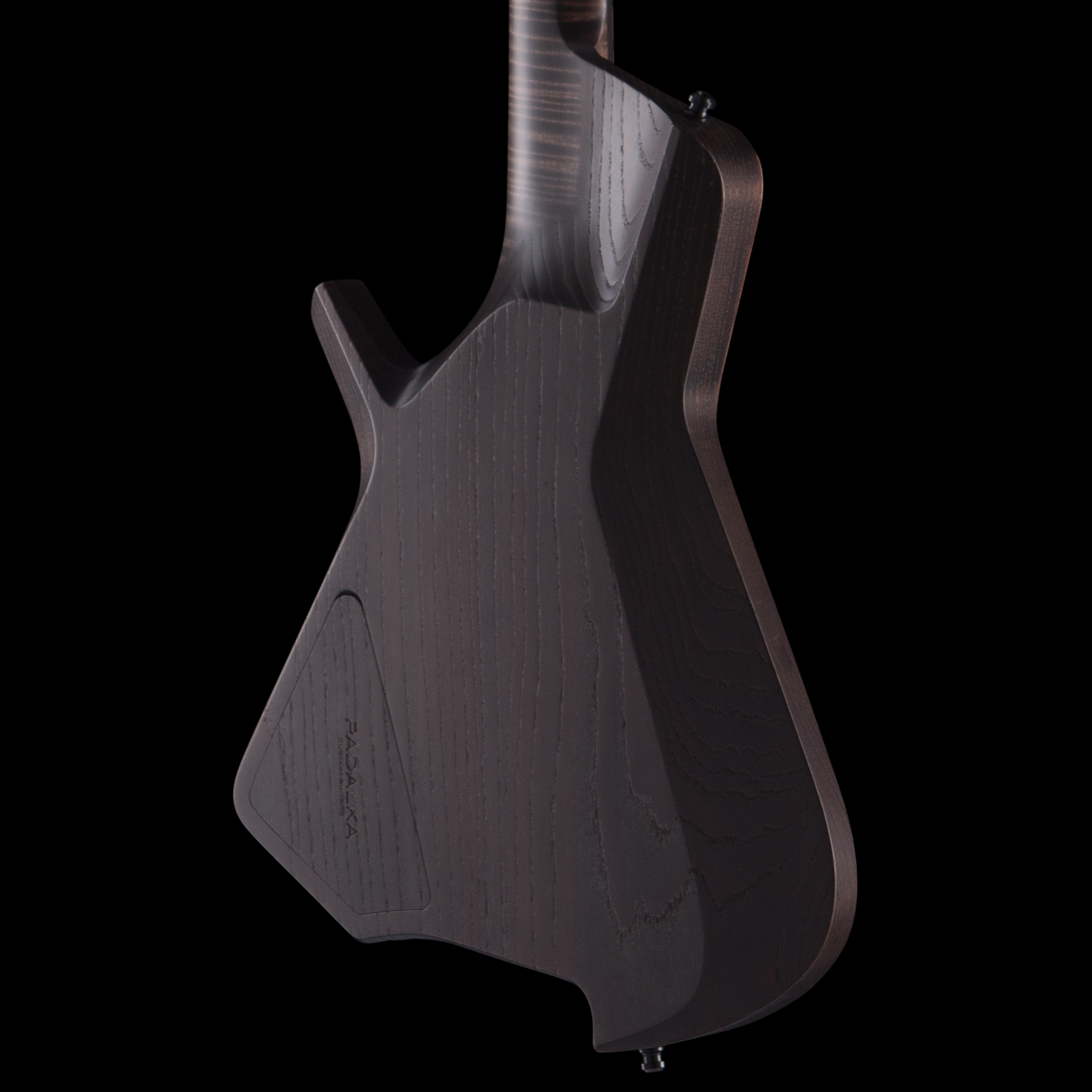 enTour 2026 Padalka Guitar Axion - Body Back.png