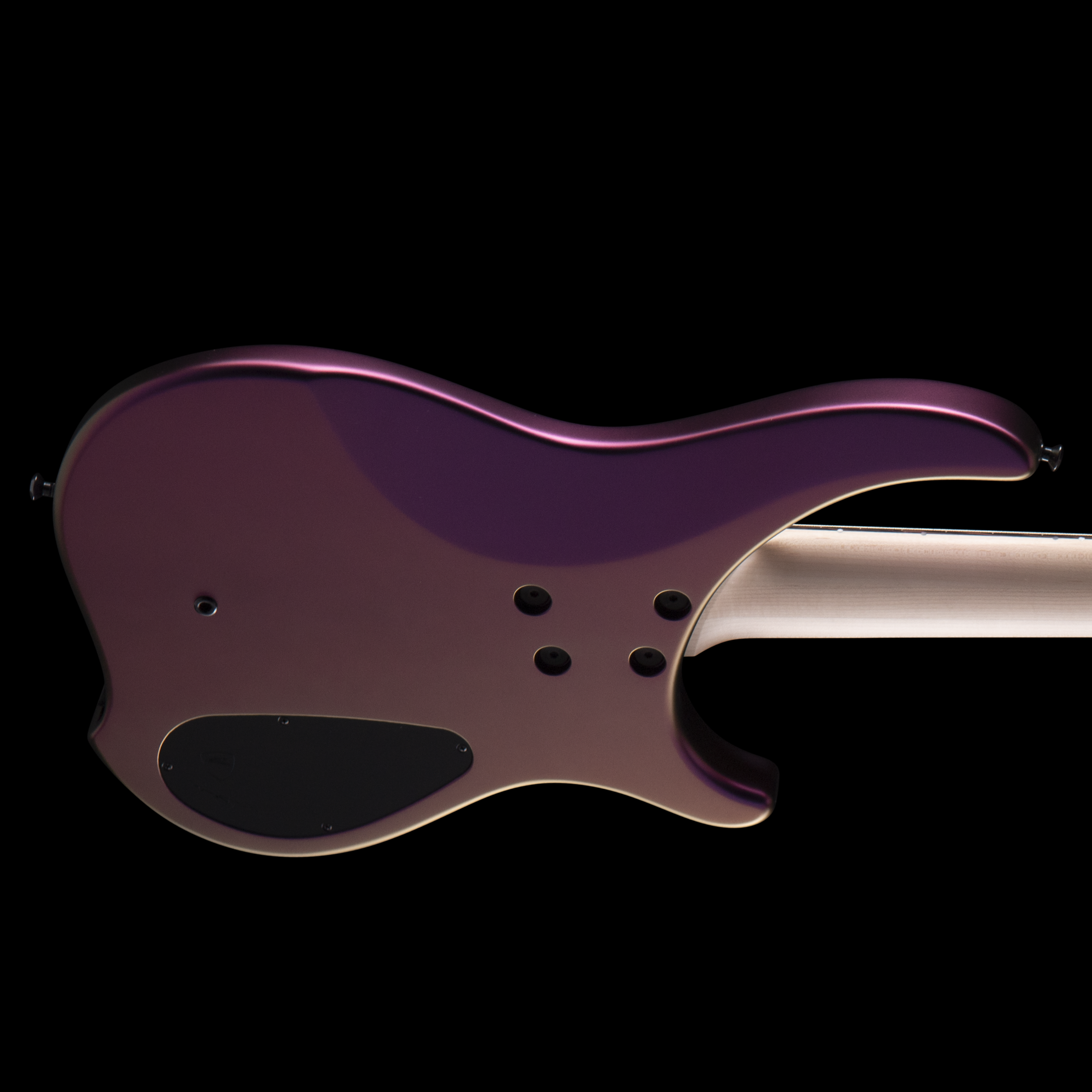 enTour 2026 Dingwall Bass ABZ - Back  Horizontal.png
