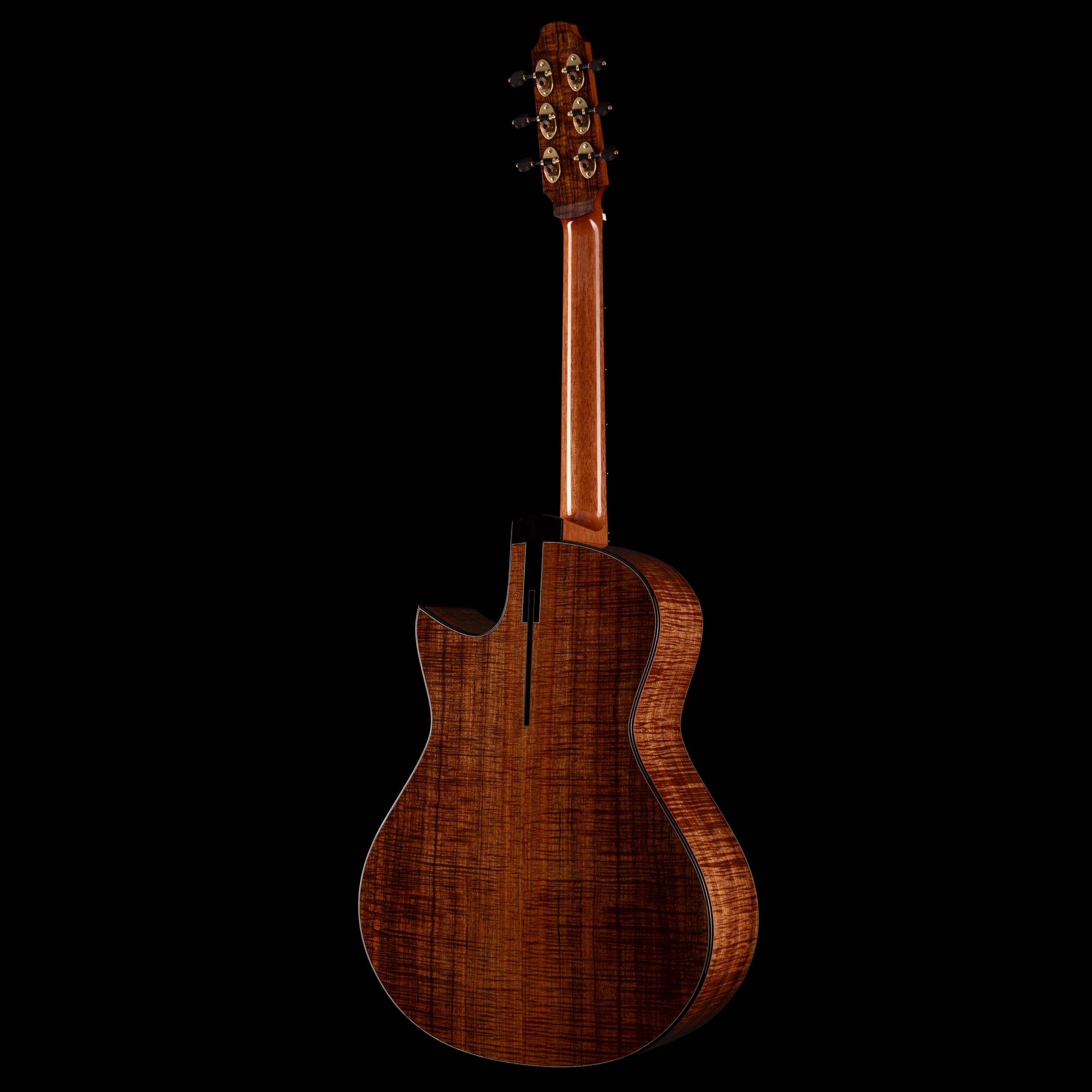 enTour 2026 Spohn Guitars OM-C 12-fret- Back Full.png