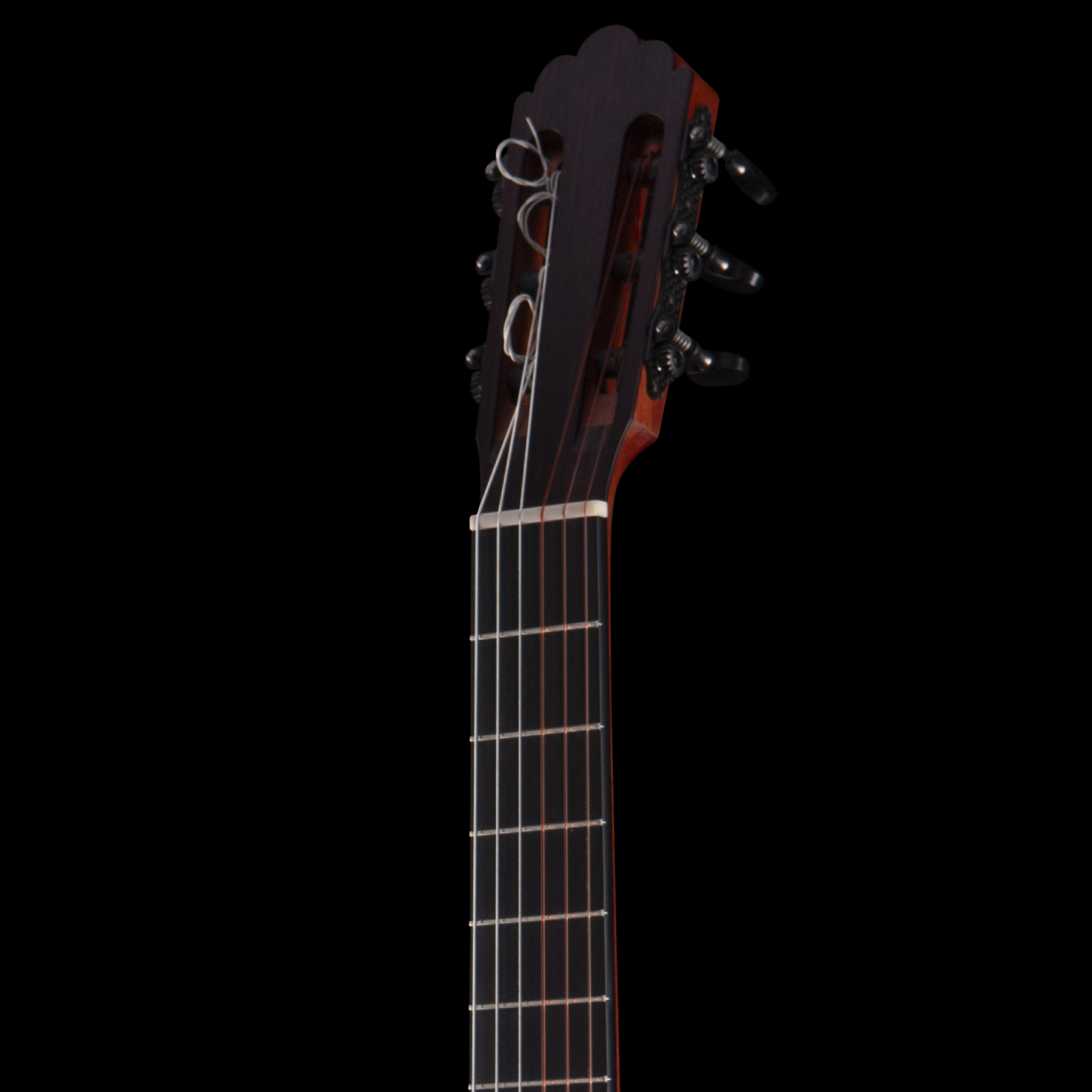 enTour 2026 R Robinson Guitar Flamenco - Headstock Front.png