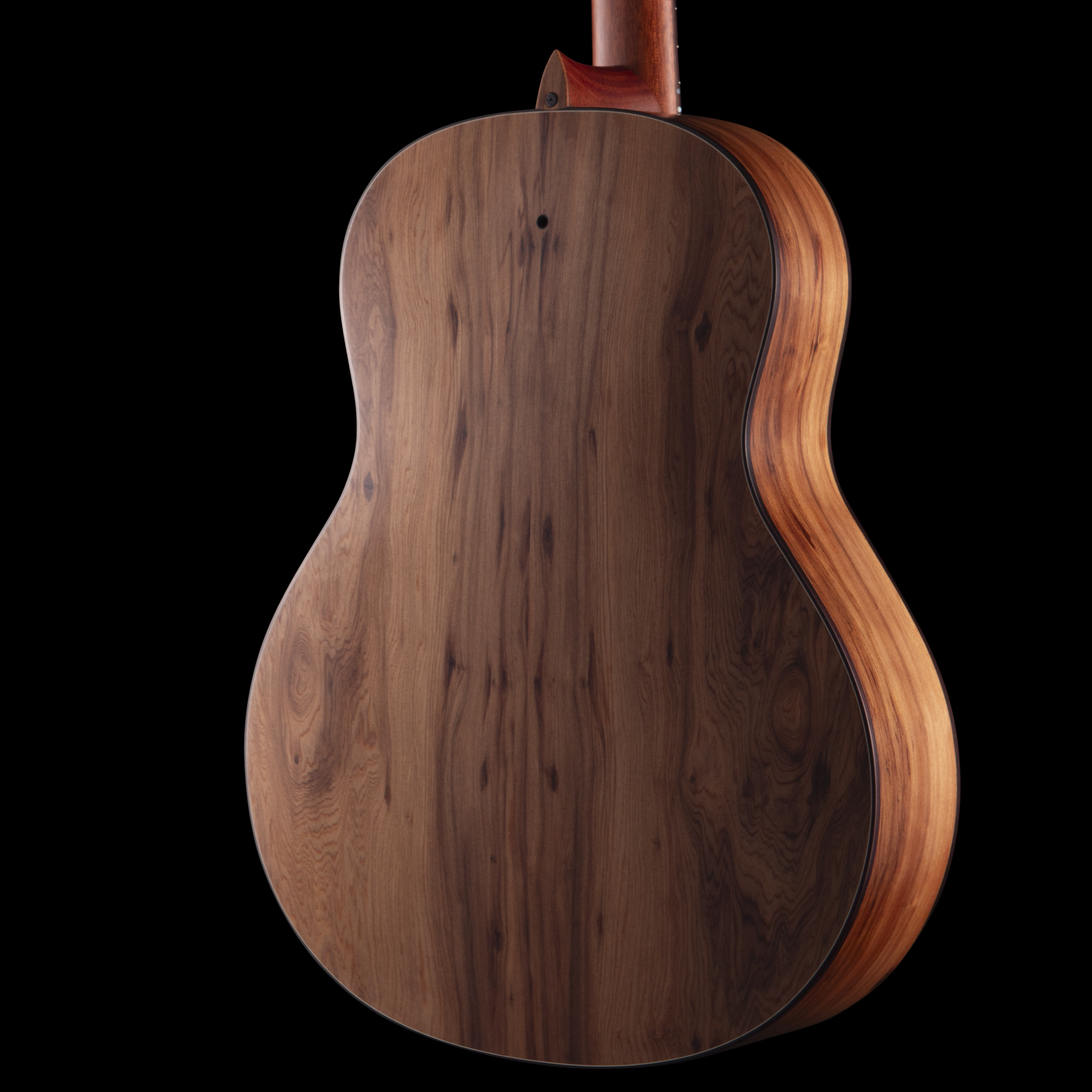 enTour 2026 R Robinson Guitar Resonator - Body Back.png