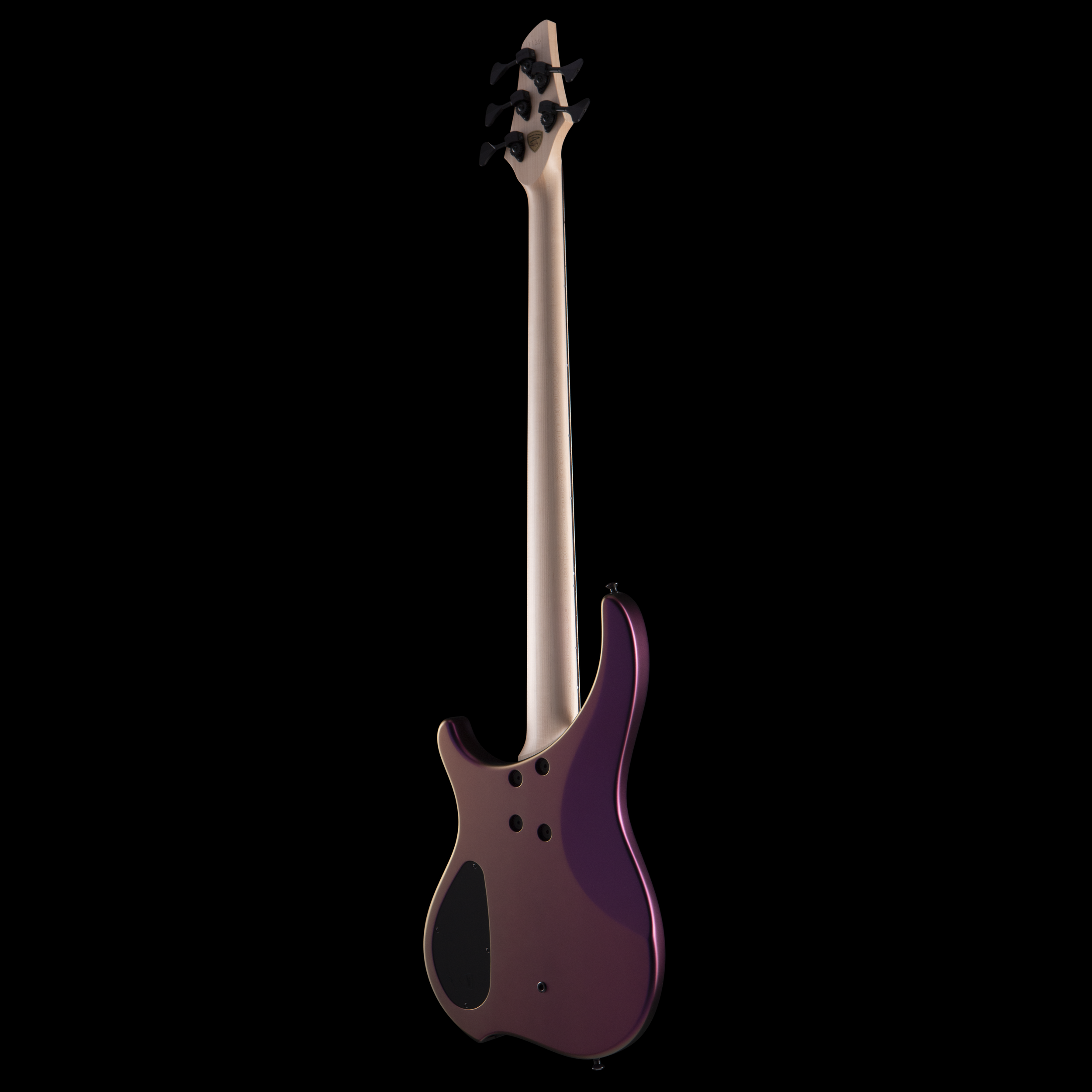 enTour 2026 Dingwall Bass ABZ - Back Full.png