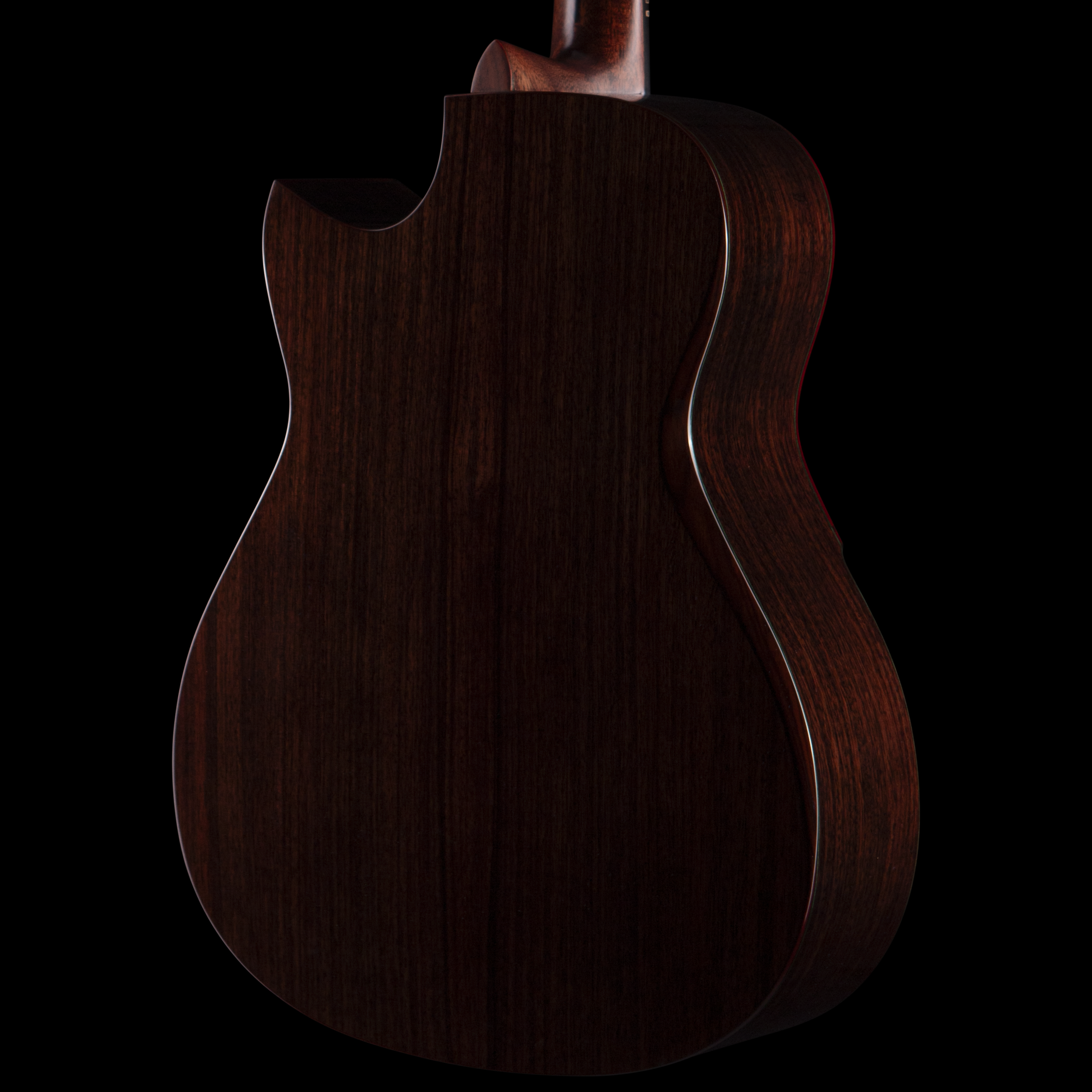enTour 2026 Hozen Guitars 343 -  Body Back.png