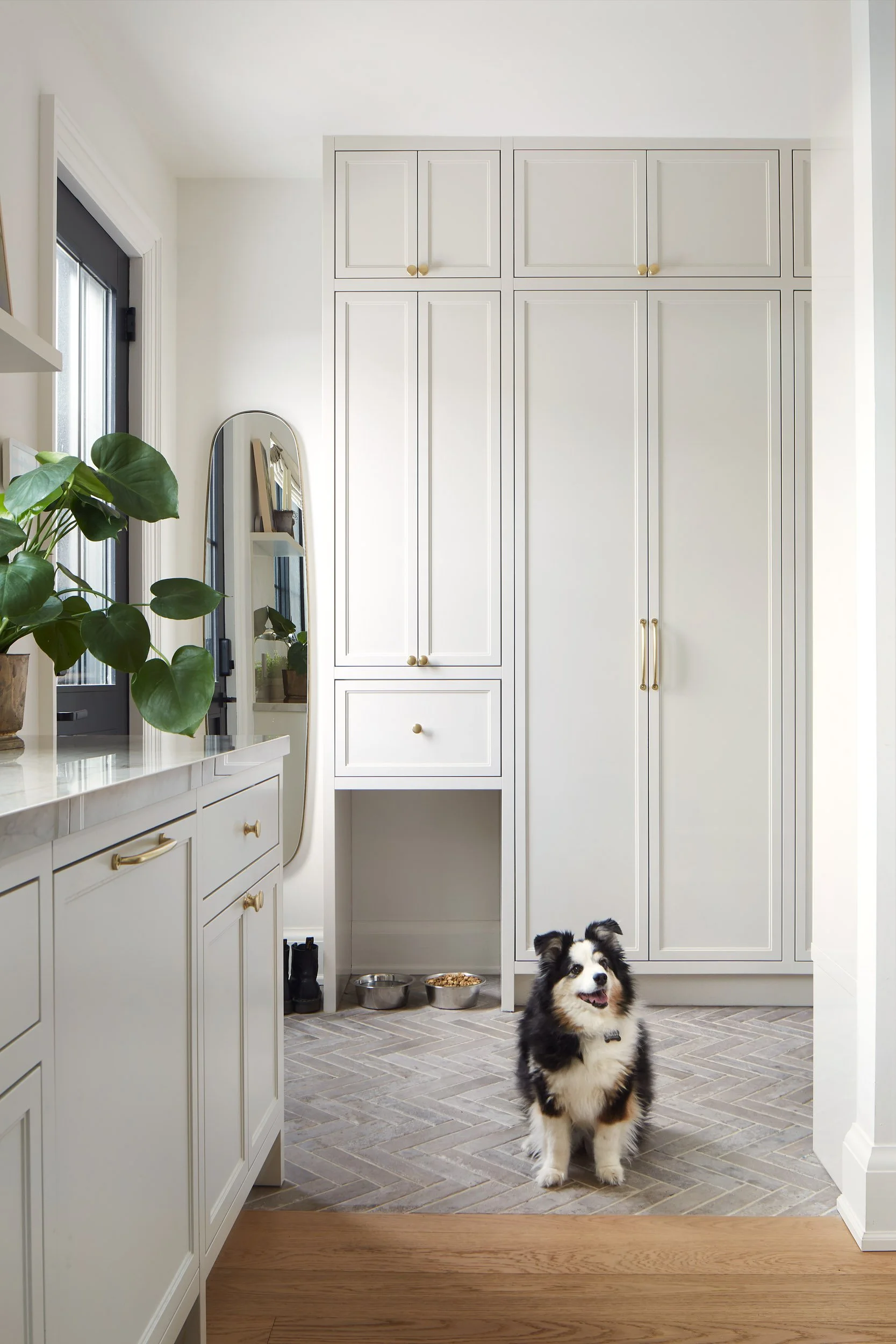 Copy of MudRoom-01-dog.jpg
