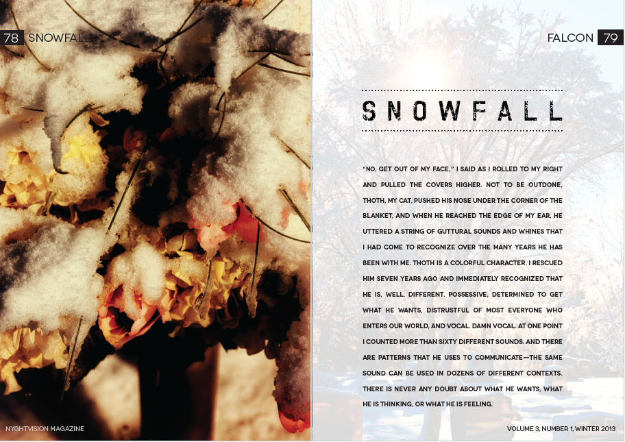 Screenshot 2024-03-11 at 10.06.00 AM.png