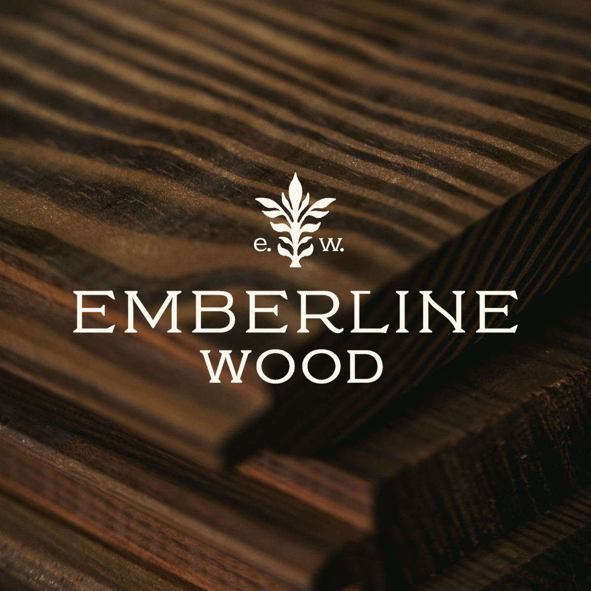 Brand Design & Launch