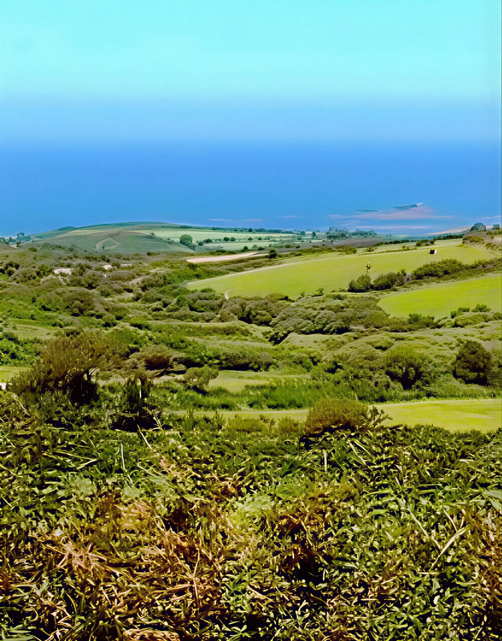 ICONE CLIMATS DE FRANCE.jpg