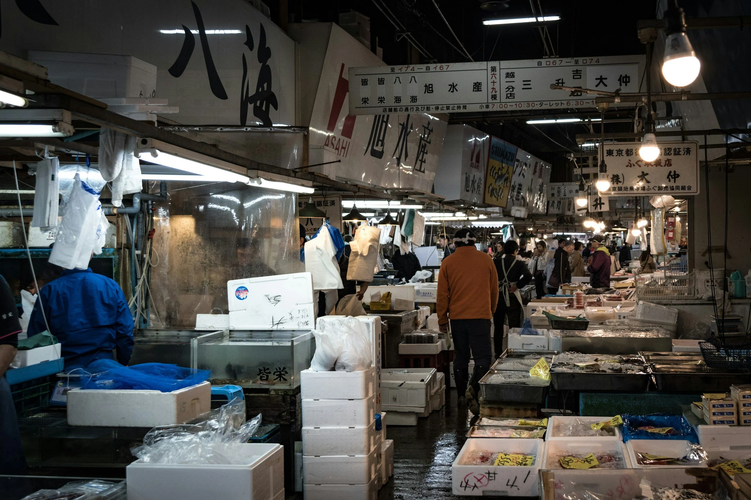 Japan Fish market