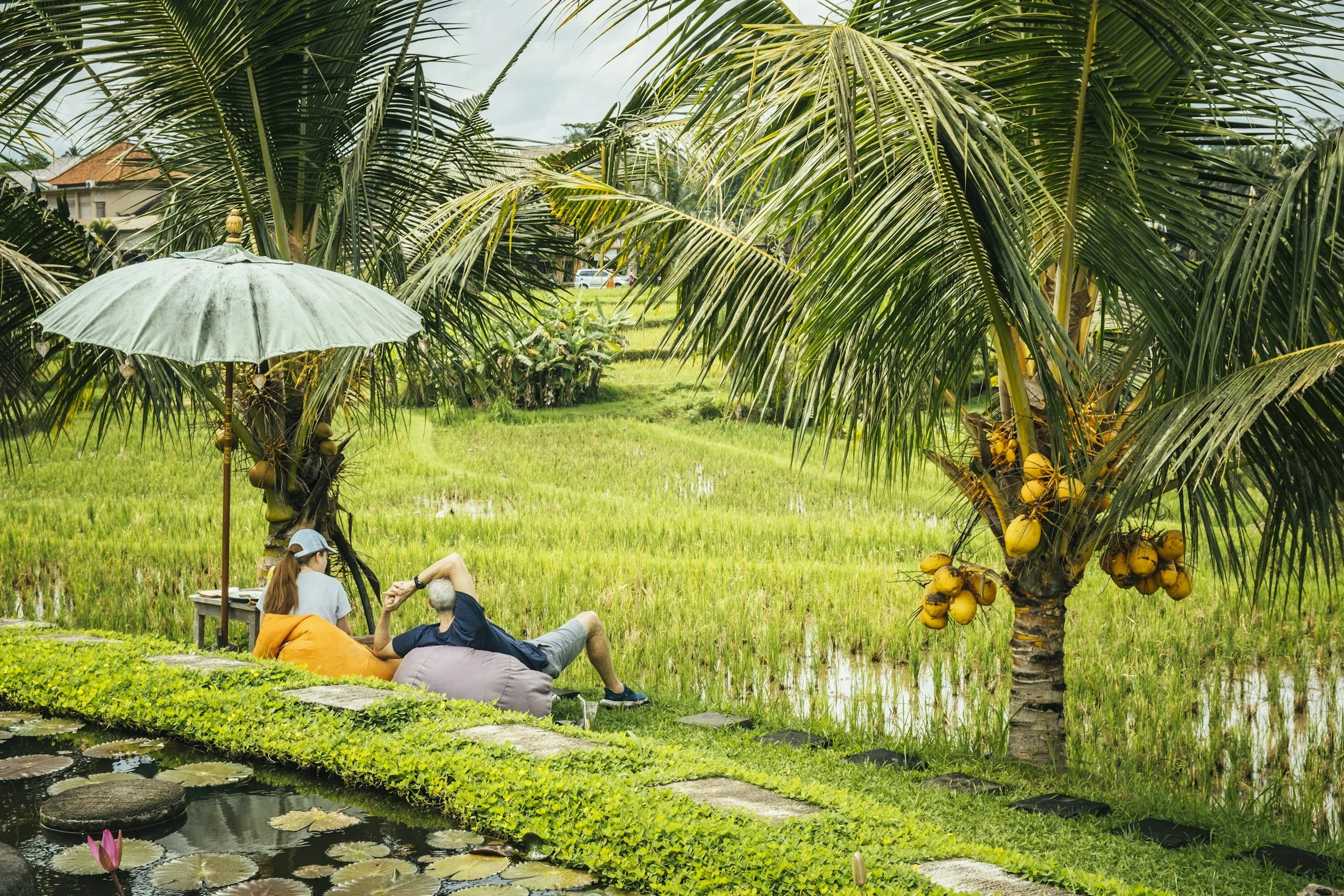 relaxing in Indonesia around coconuts and rice fields