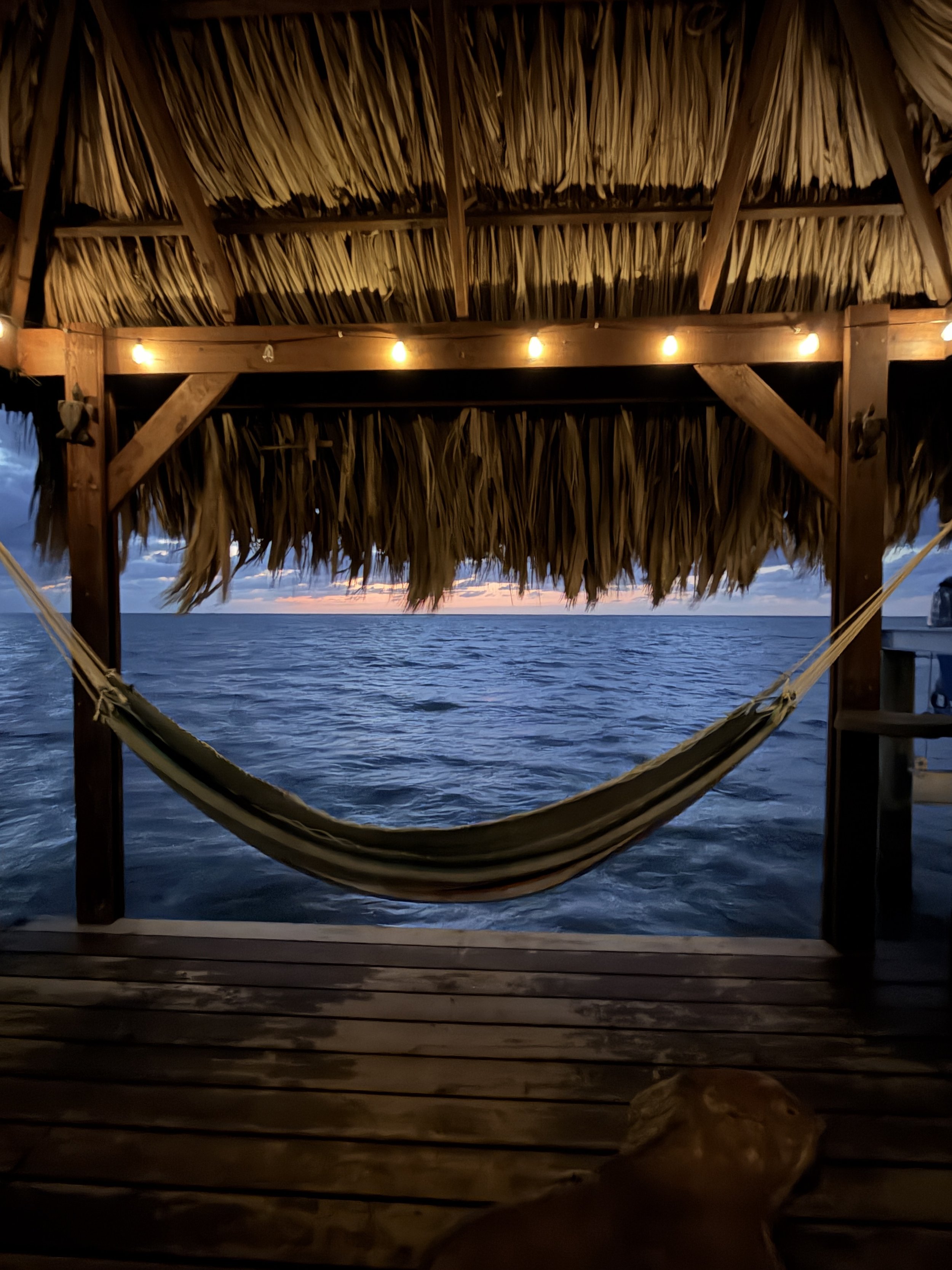 Scuba: Roatan, Honduras 2026