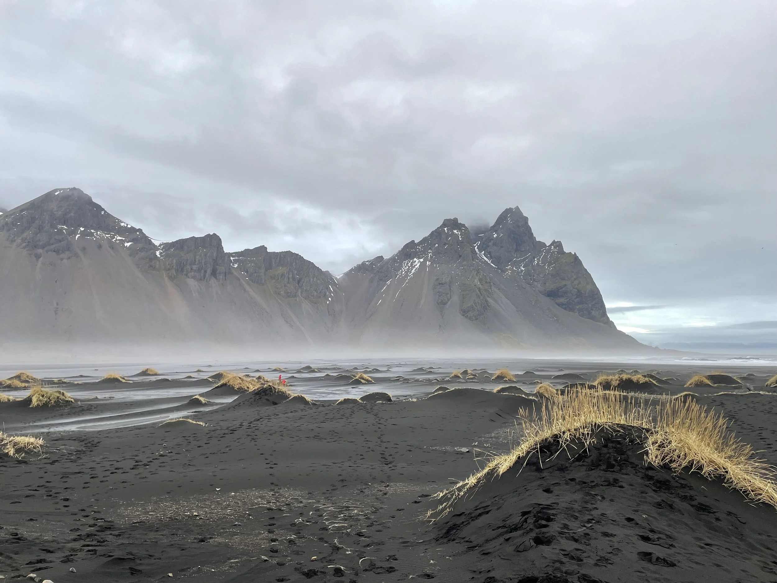 A black sand beach with tufts of yellow grass in the foreground, a dark mountain range with snow patches in the background, and a cloudy sky overhead.