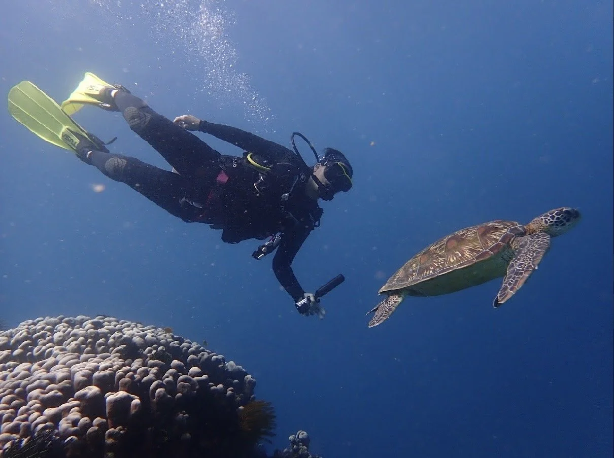diving in Indonesia 