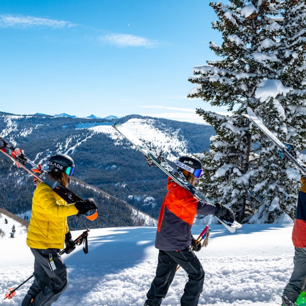 Ski (1).png