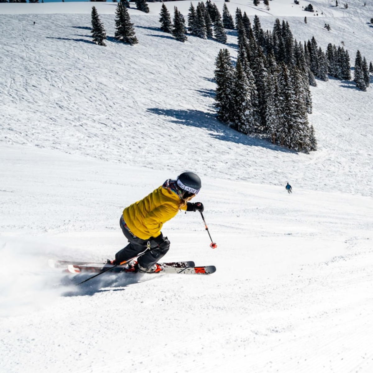 Ski (6).png