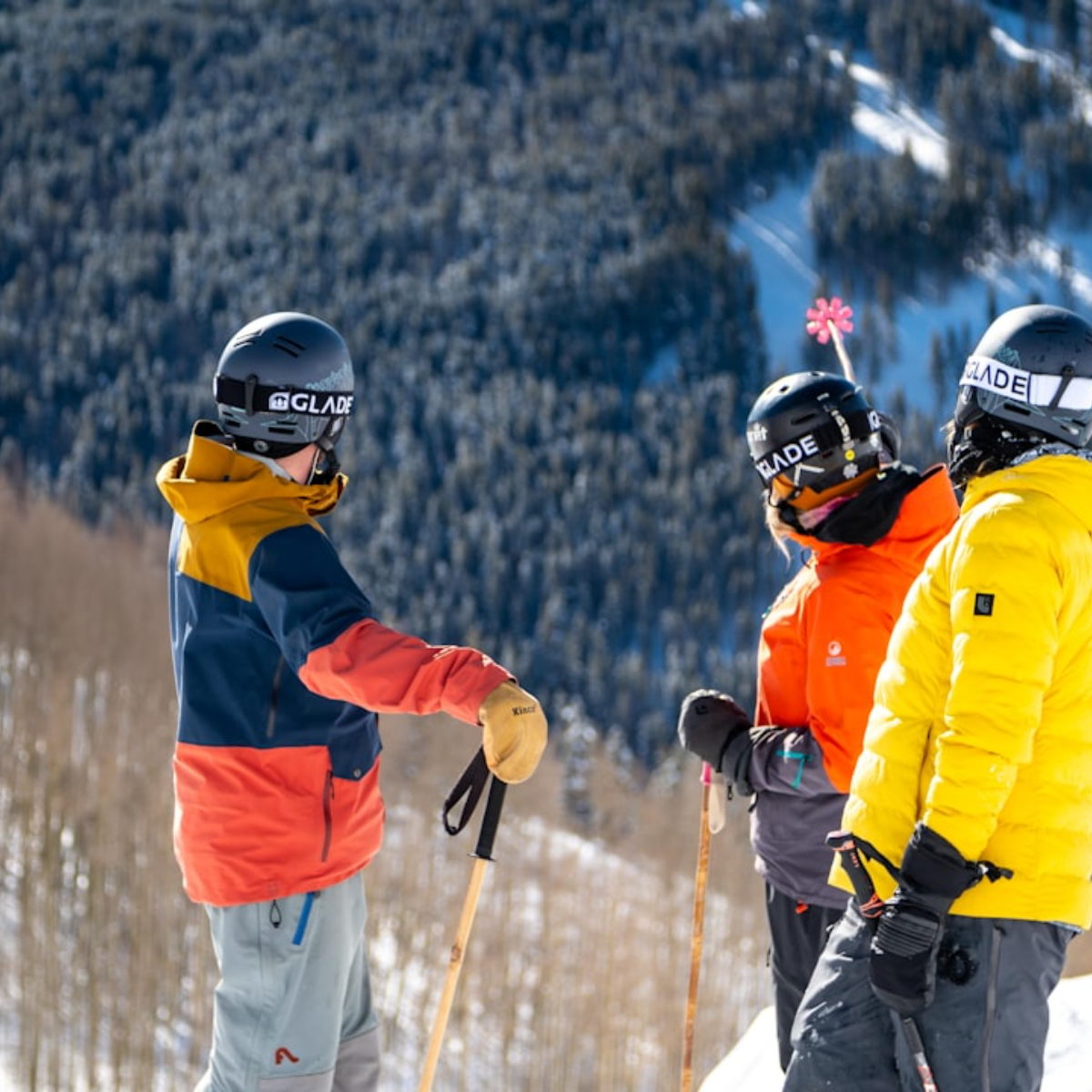 Ski (4).png