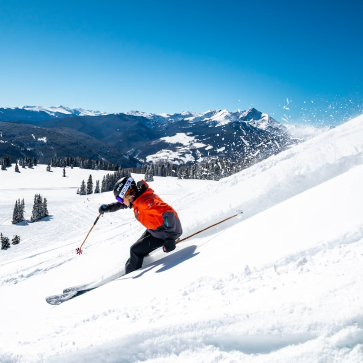 Ski .png