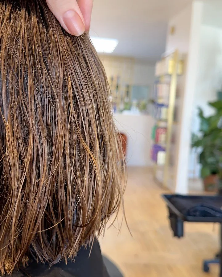 Checking the shape; I love a bob 🤩

__
#hair #bob #mpls #mplshair #bobhaircut #twincities #twincitieshair #mplshairstylist