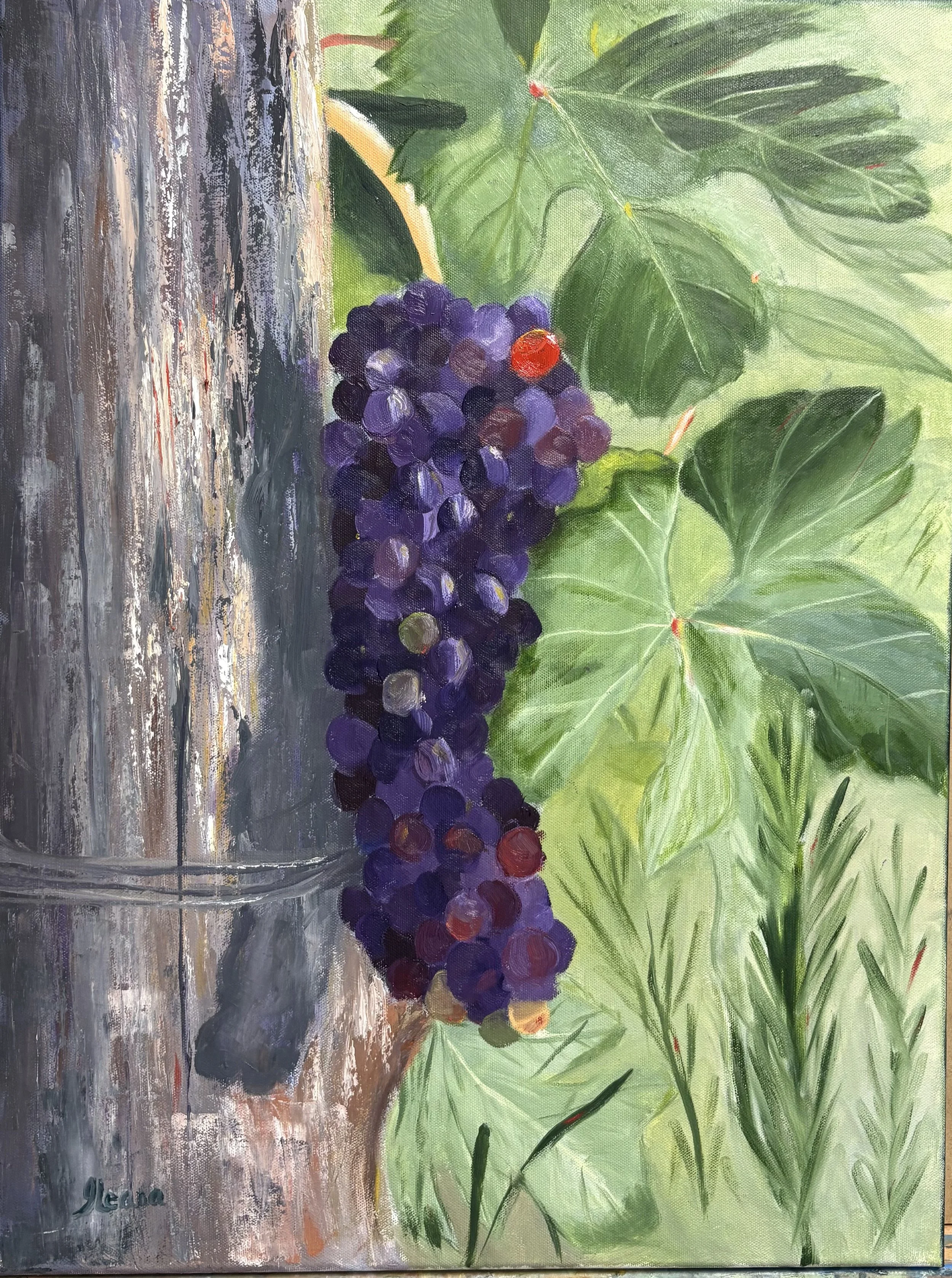 Grapes