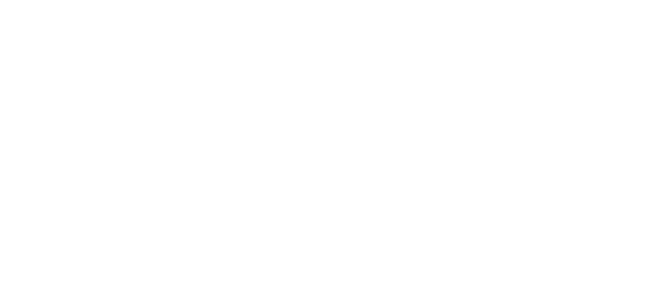 Rainier Inc.