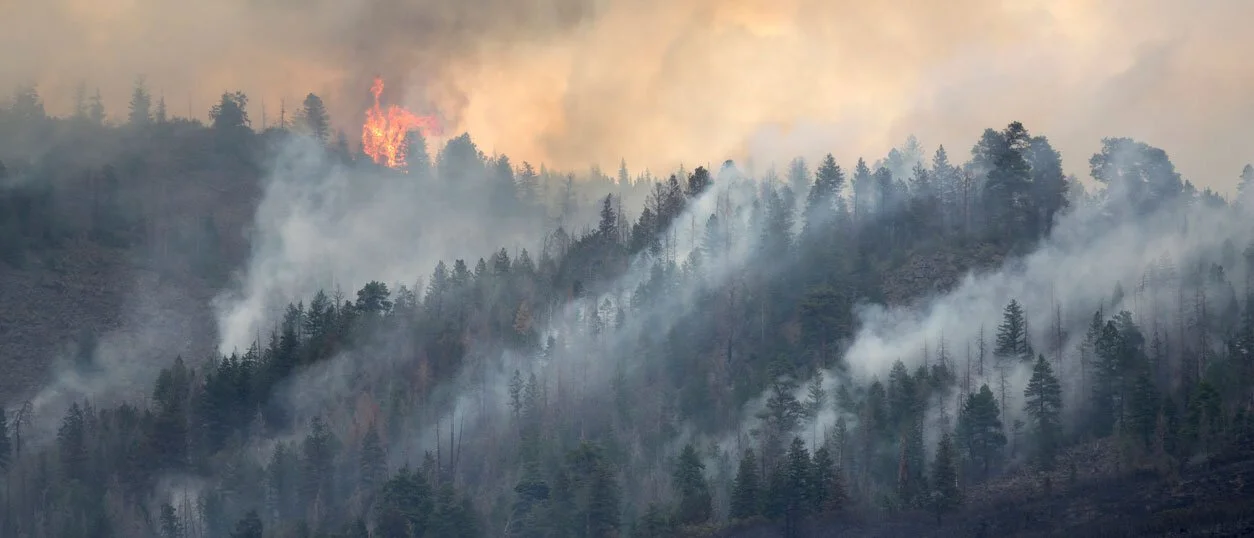 USDA Plans Reduction in Force, Closing of Job Training Centers