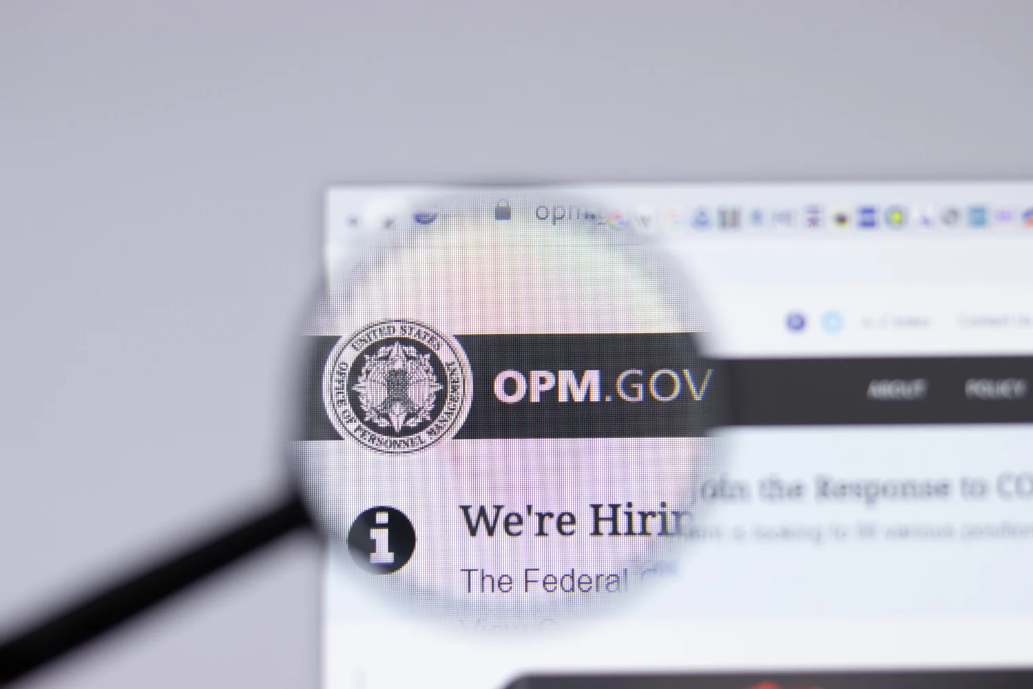OPM Updates Core Qualifications for Senior Executive Service — FEDmanager