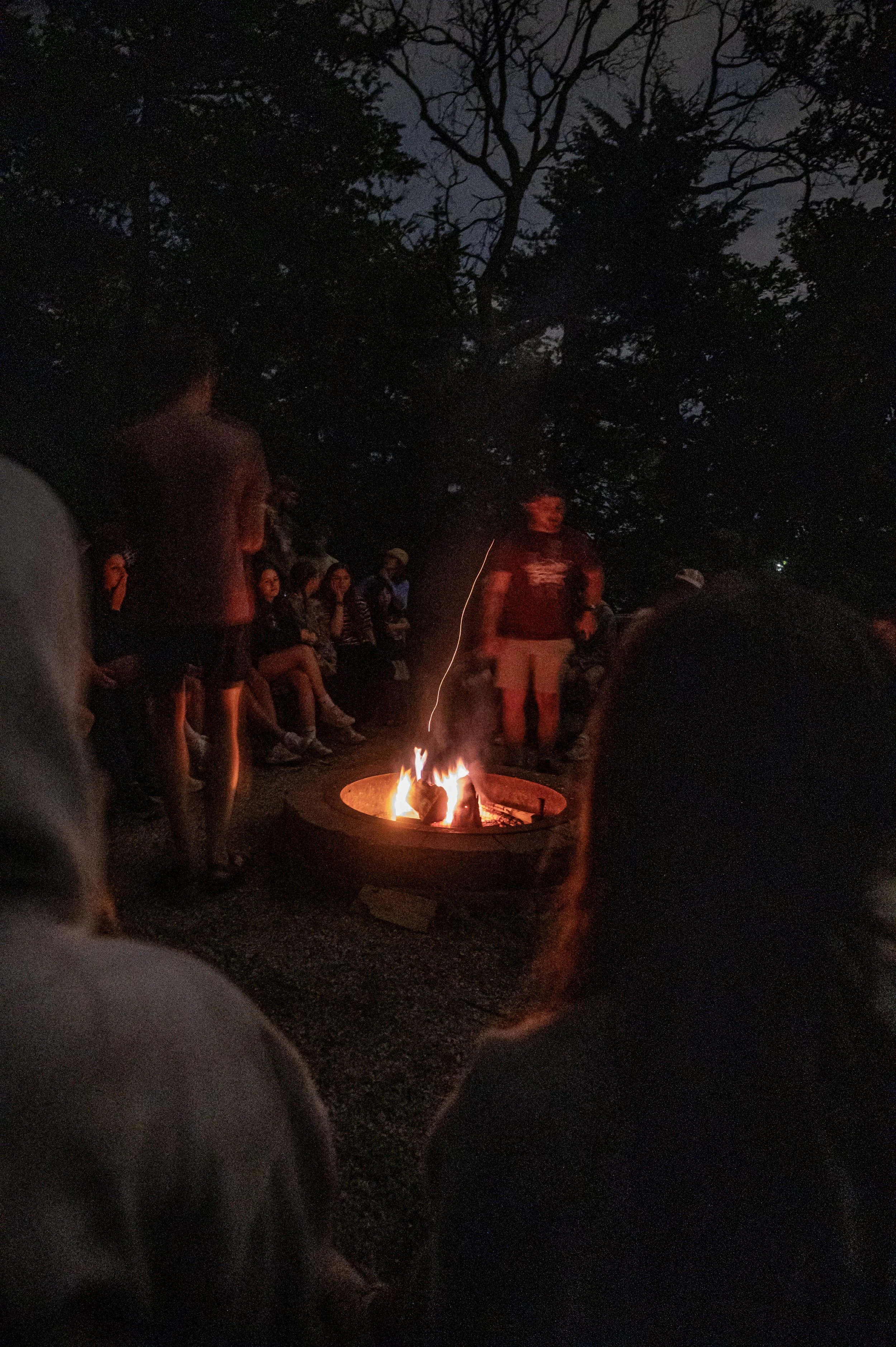 85-DSC_2428.jpg