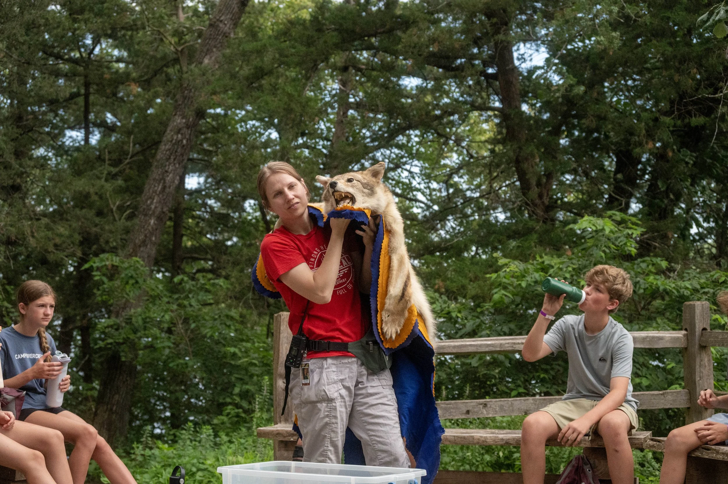 43-DSC_3338.jpg