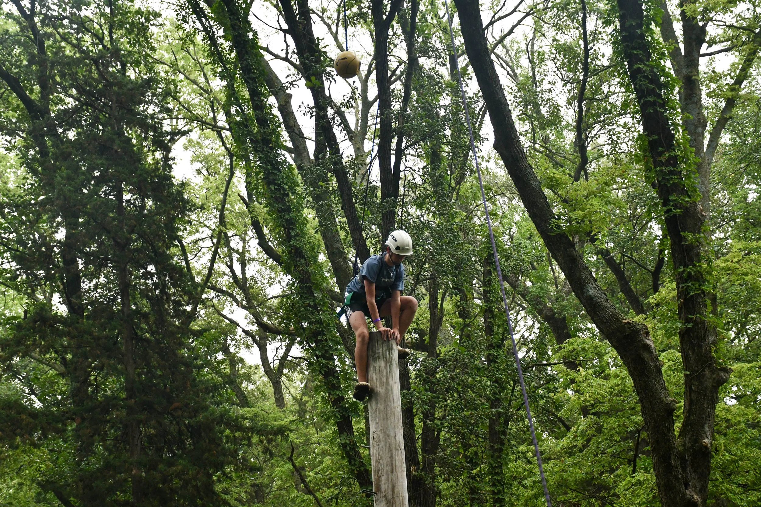 15-DSC_0498.jpg