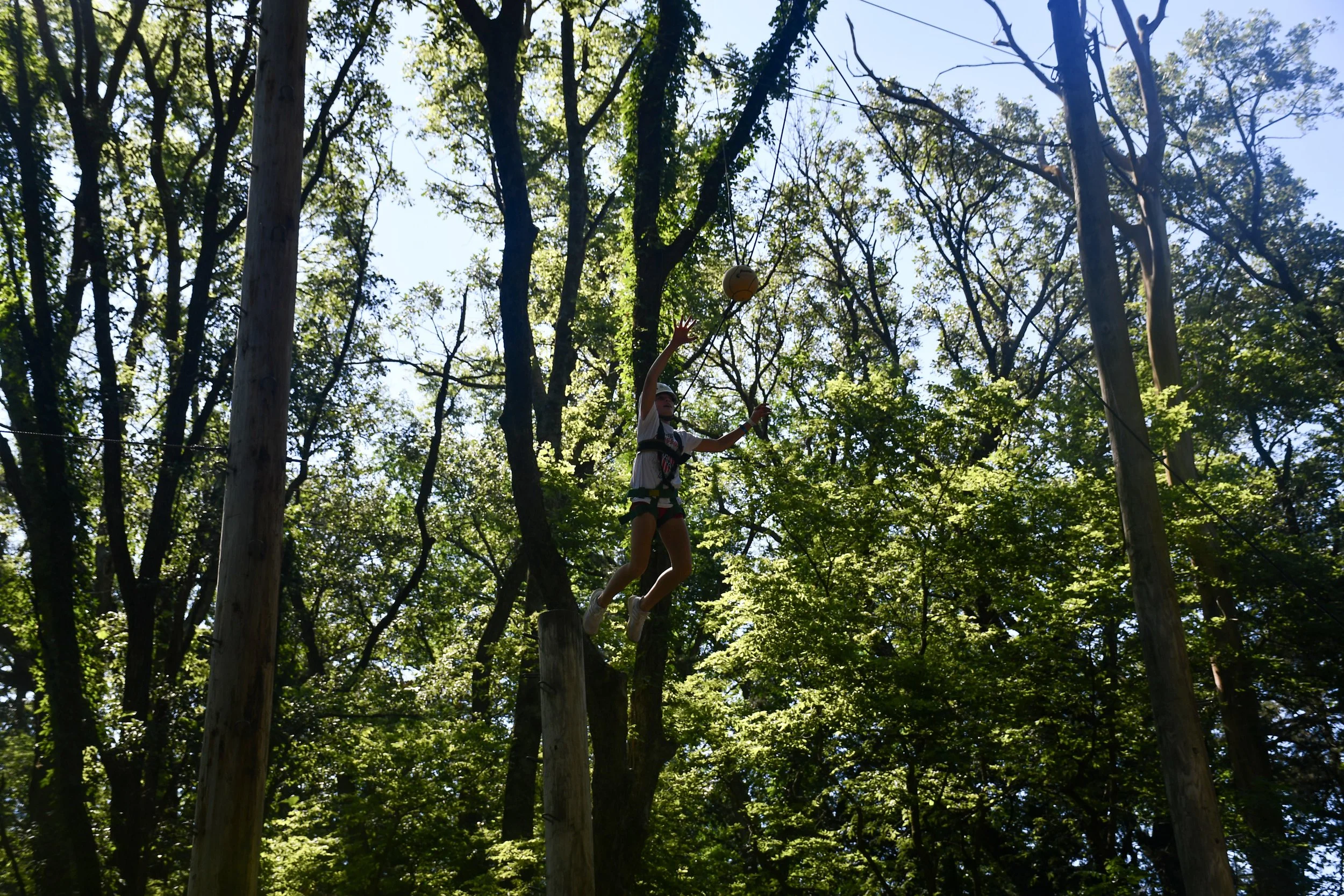 1-DSC_7391.jpg