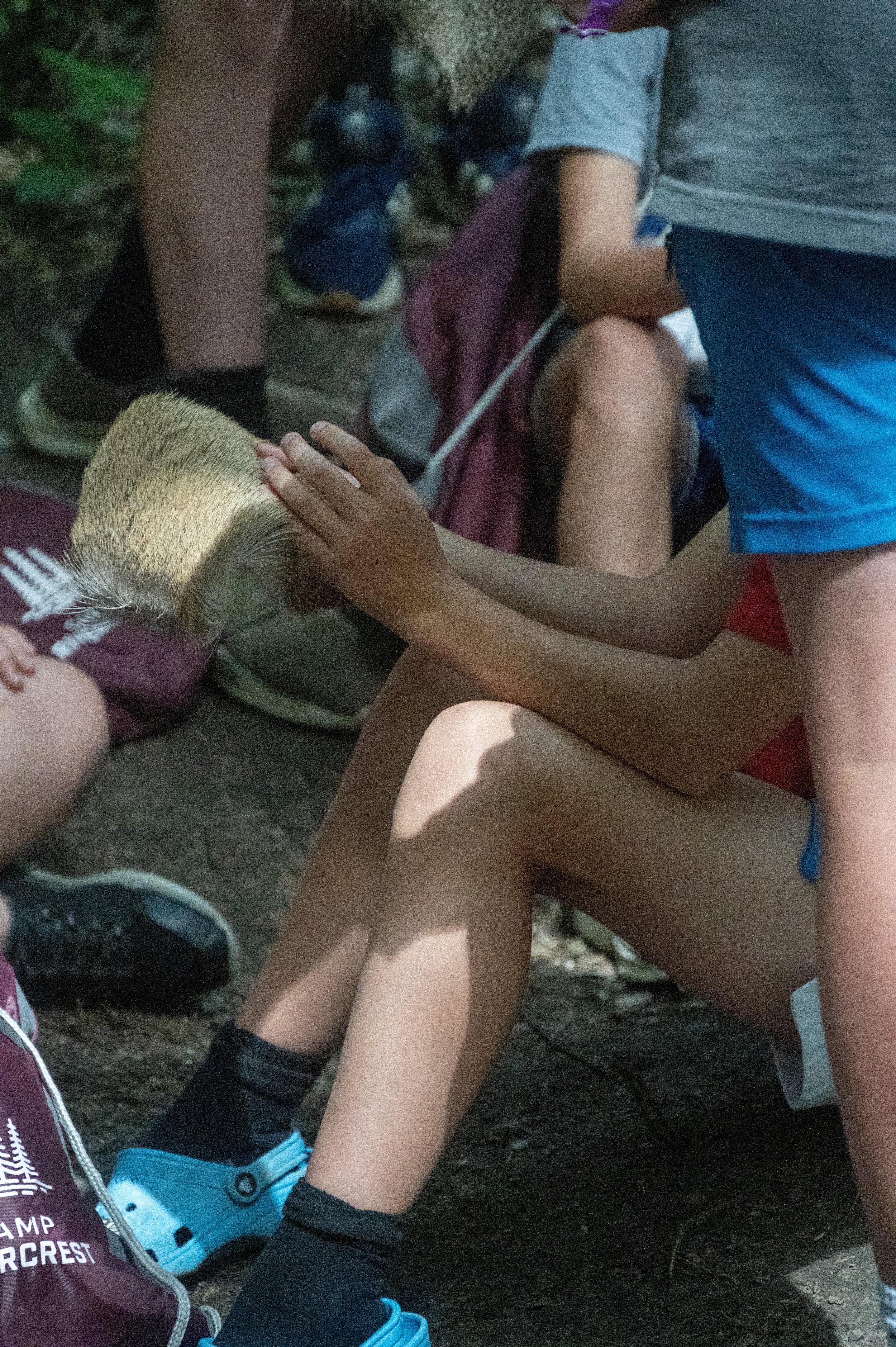 9-DSC_3187.jpg