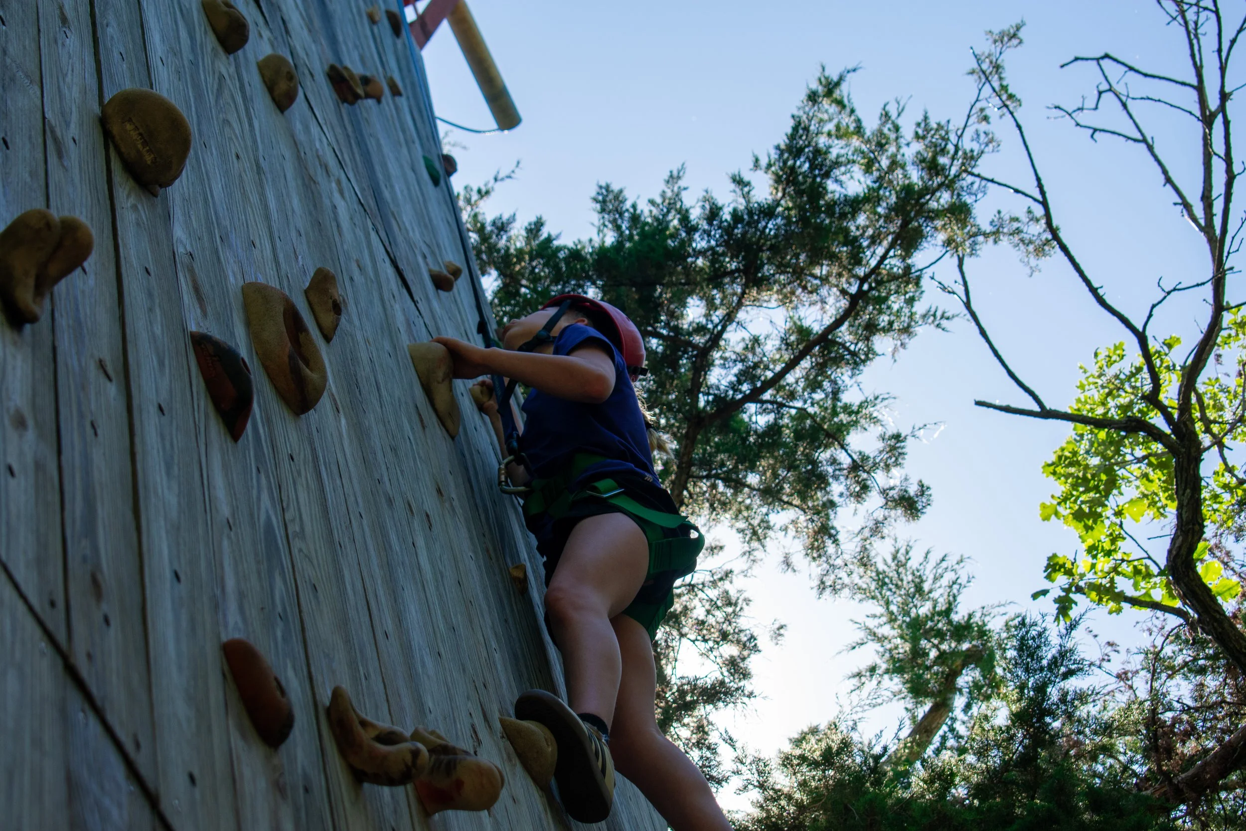 DSC_0867.jpg