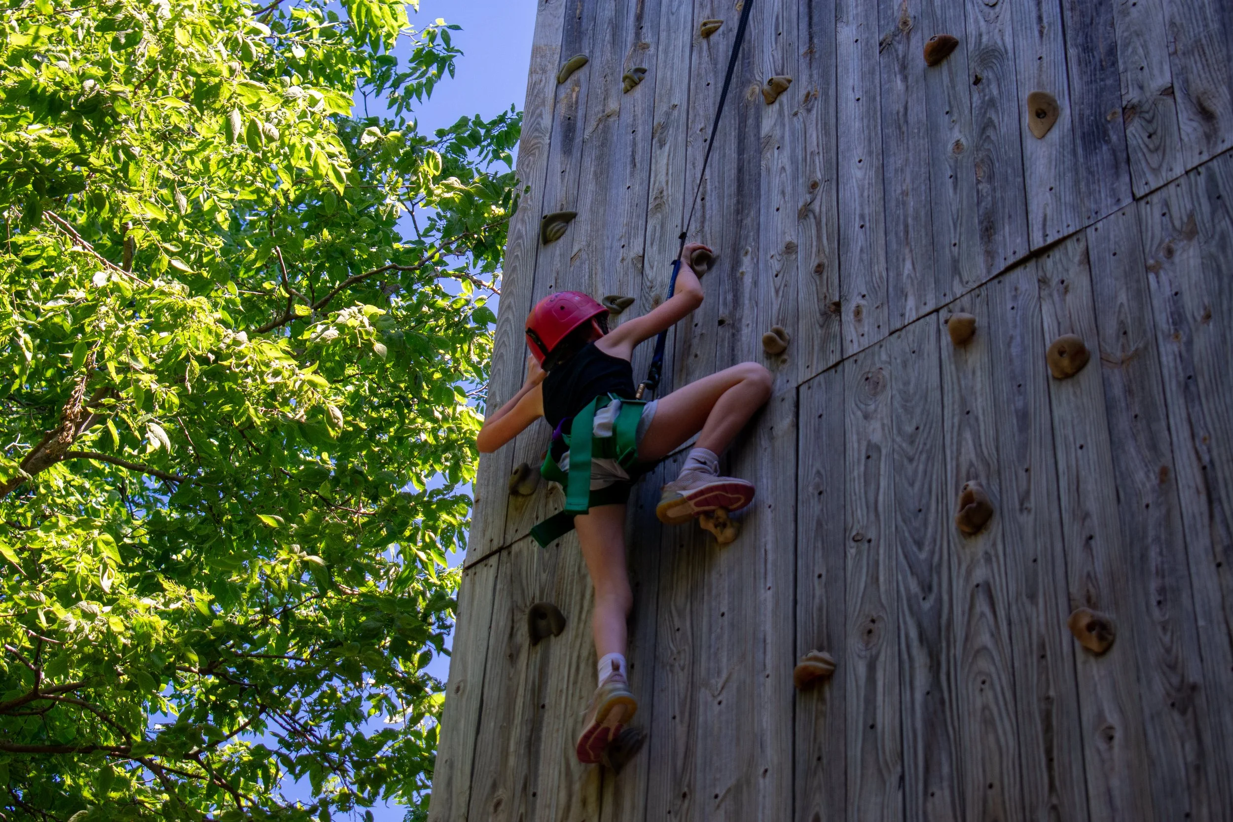DSC_0891.jpg