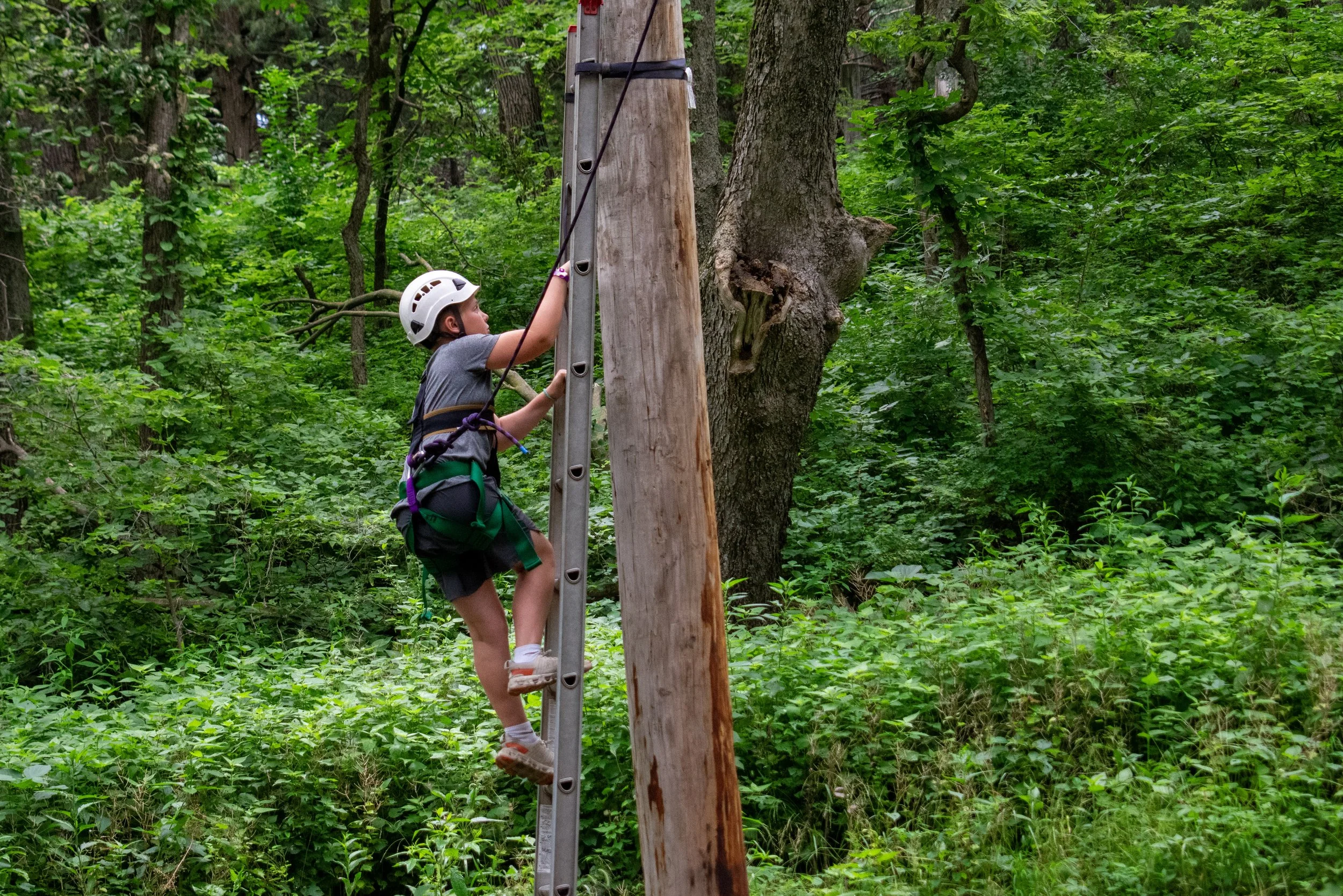 53-DSC_3831.jpg