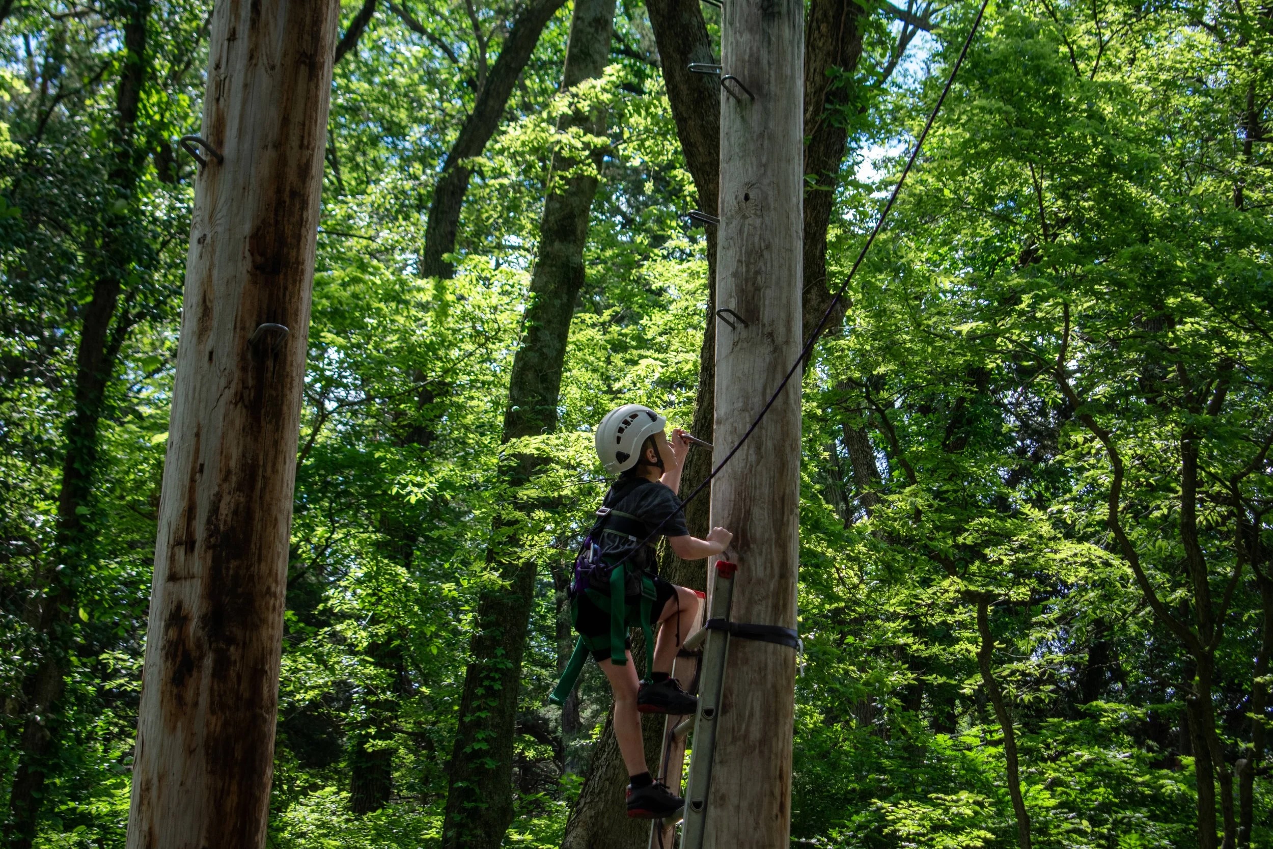 15-DSC_2793.jpg