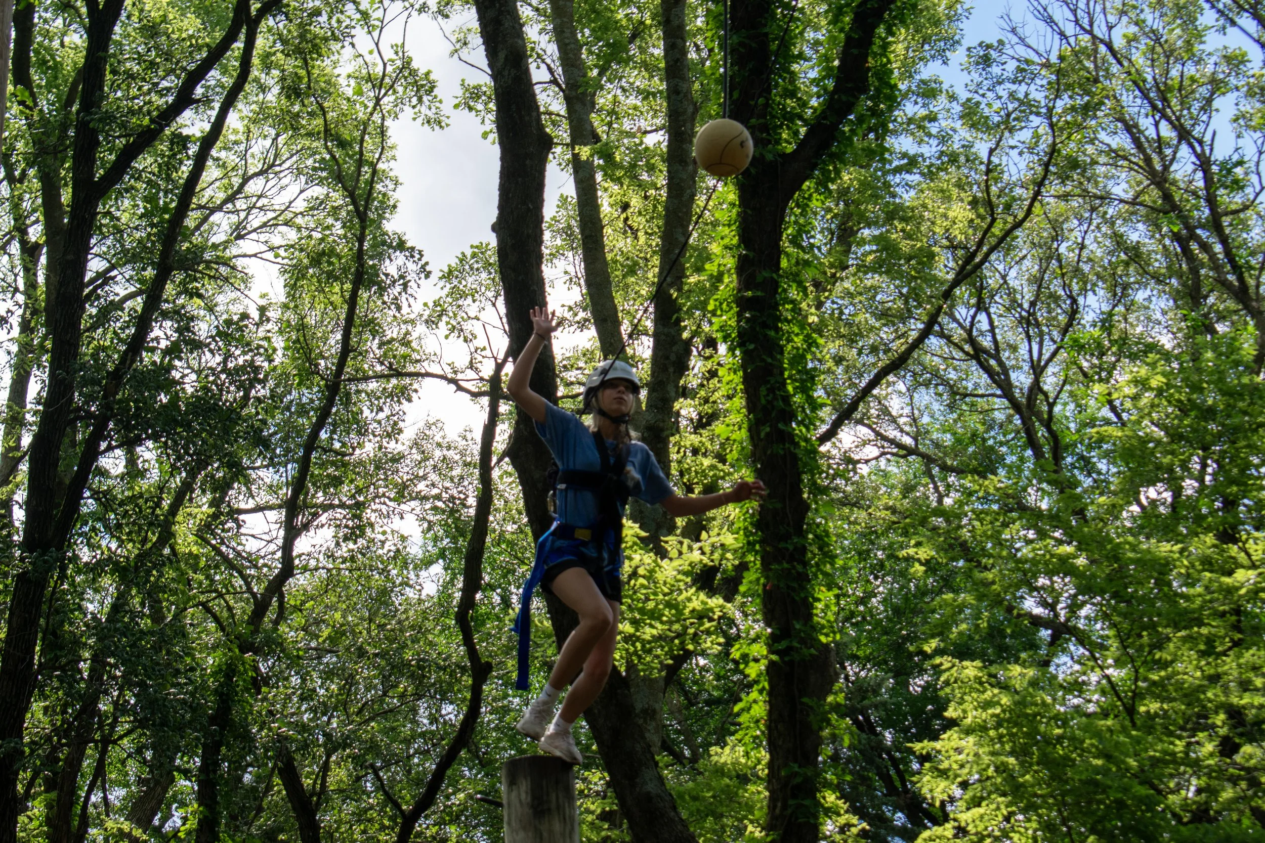9-DSC_2764.jpg