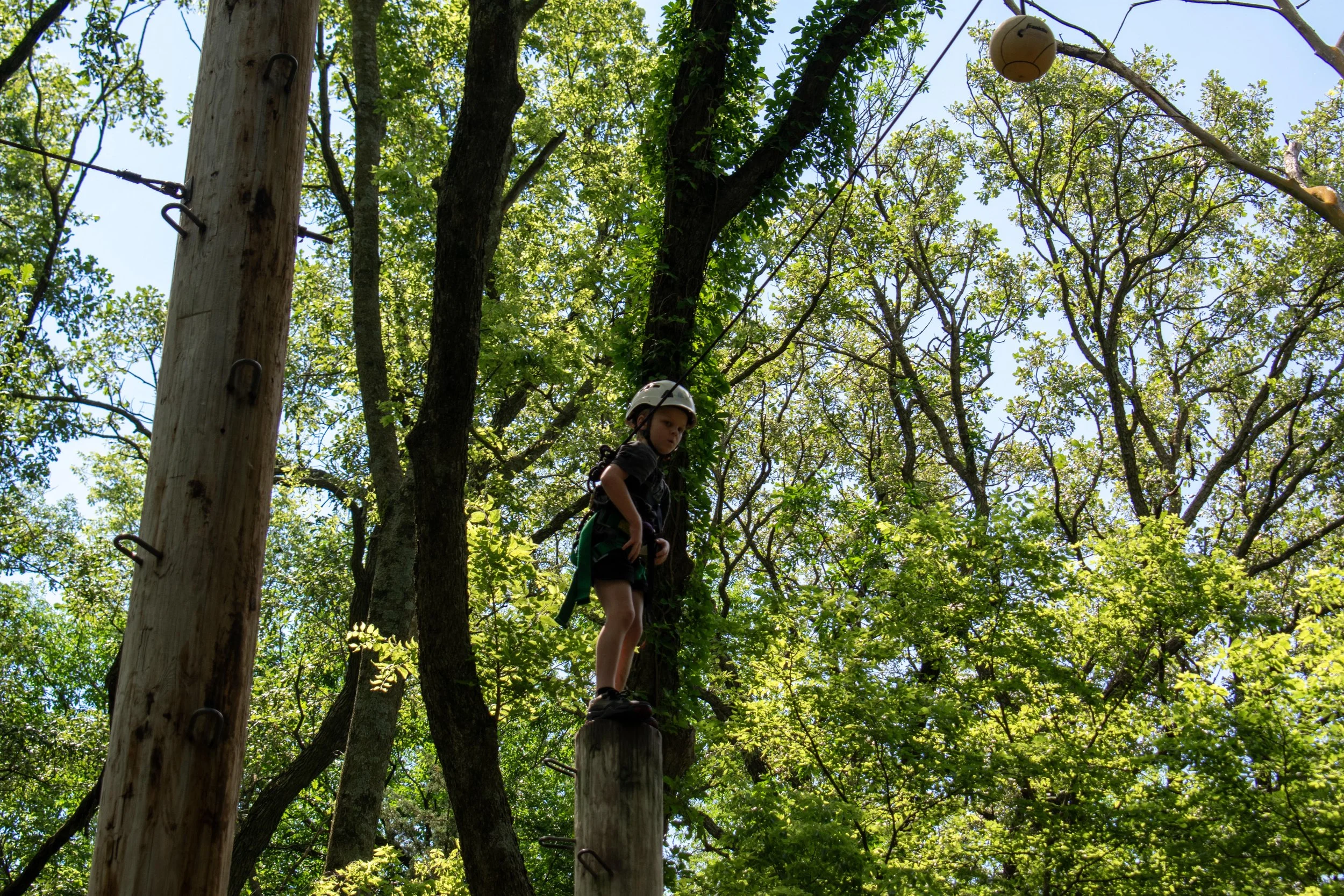17-DSC_2800.jpg