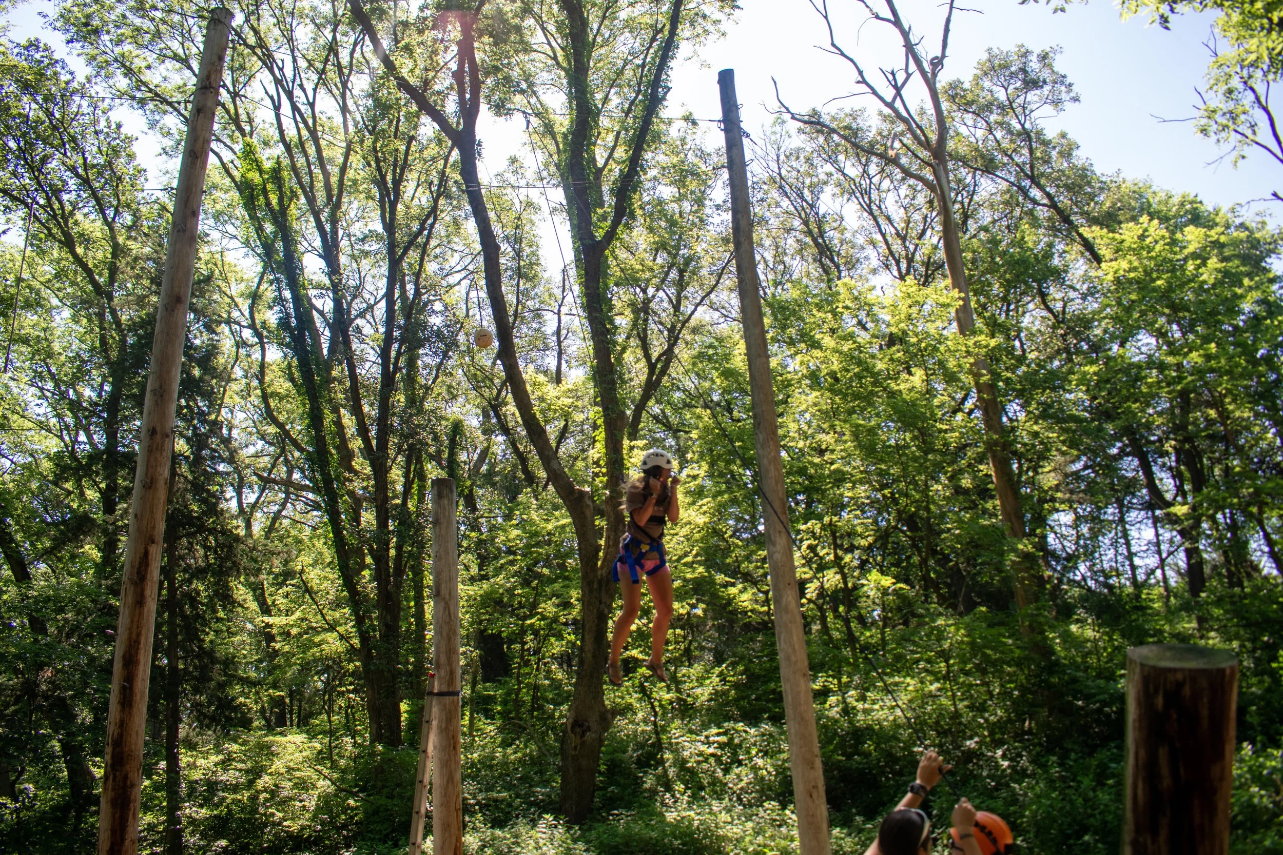17-DSC_6333.jpg