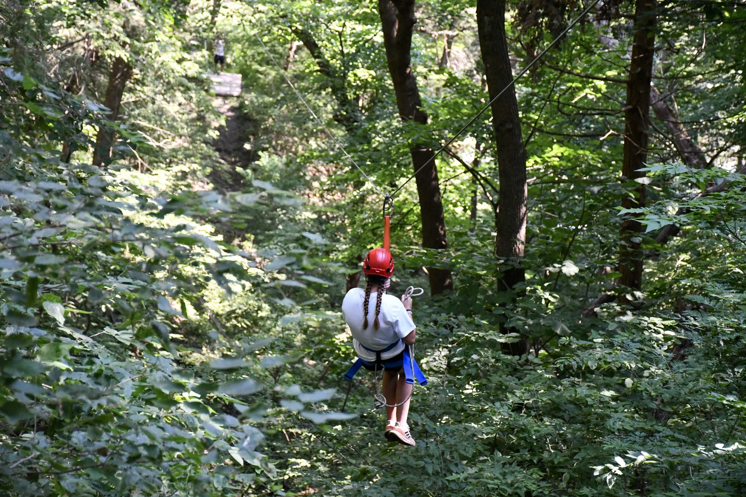 1-DSC_9202.jpg