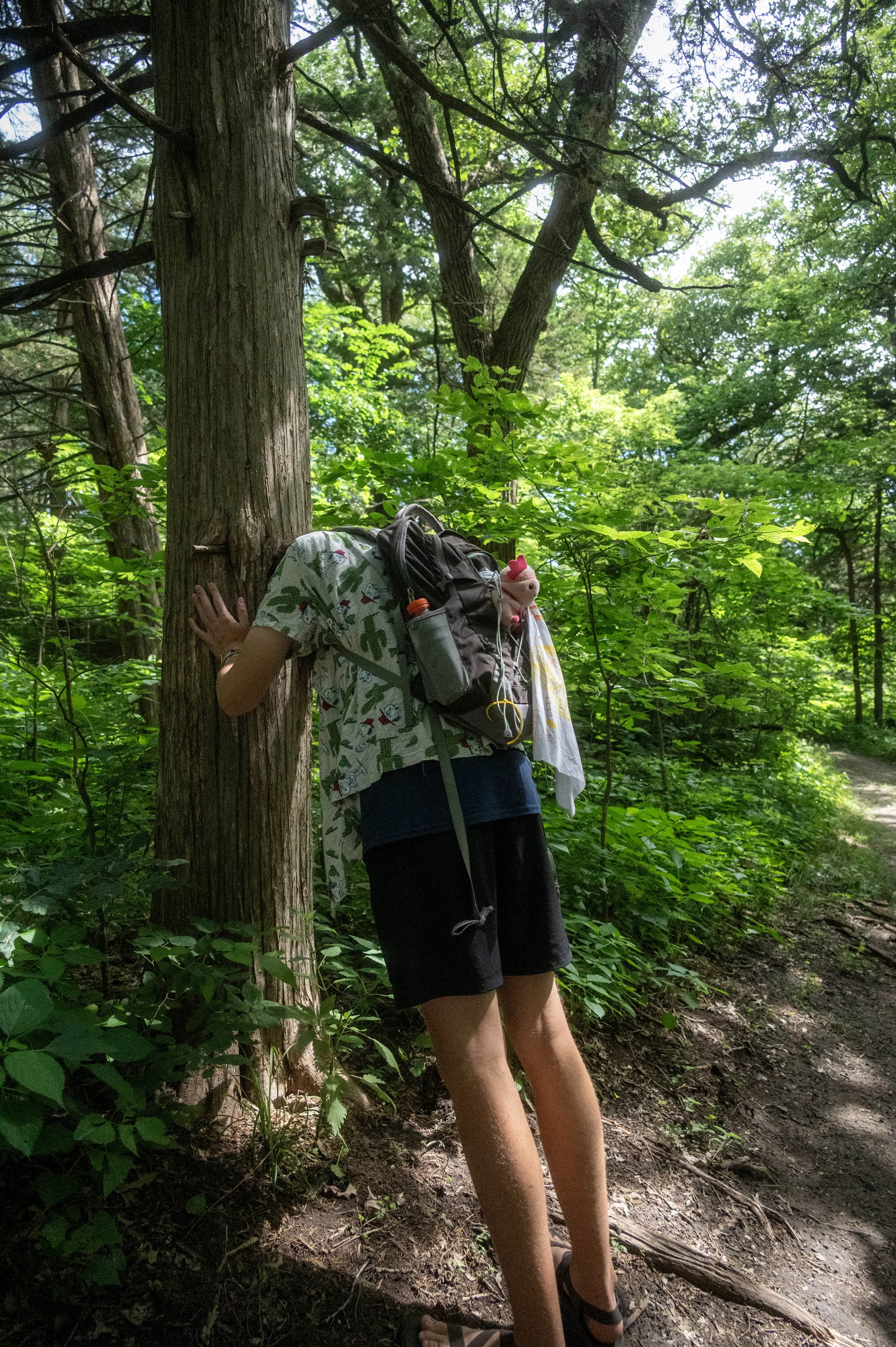 8-DSC_3183.jpg
