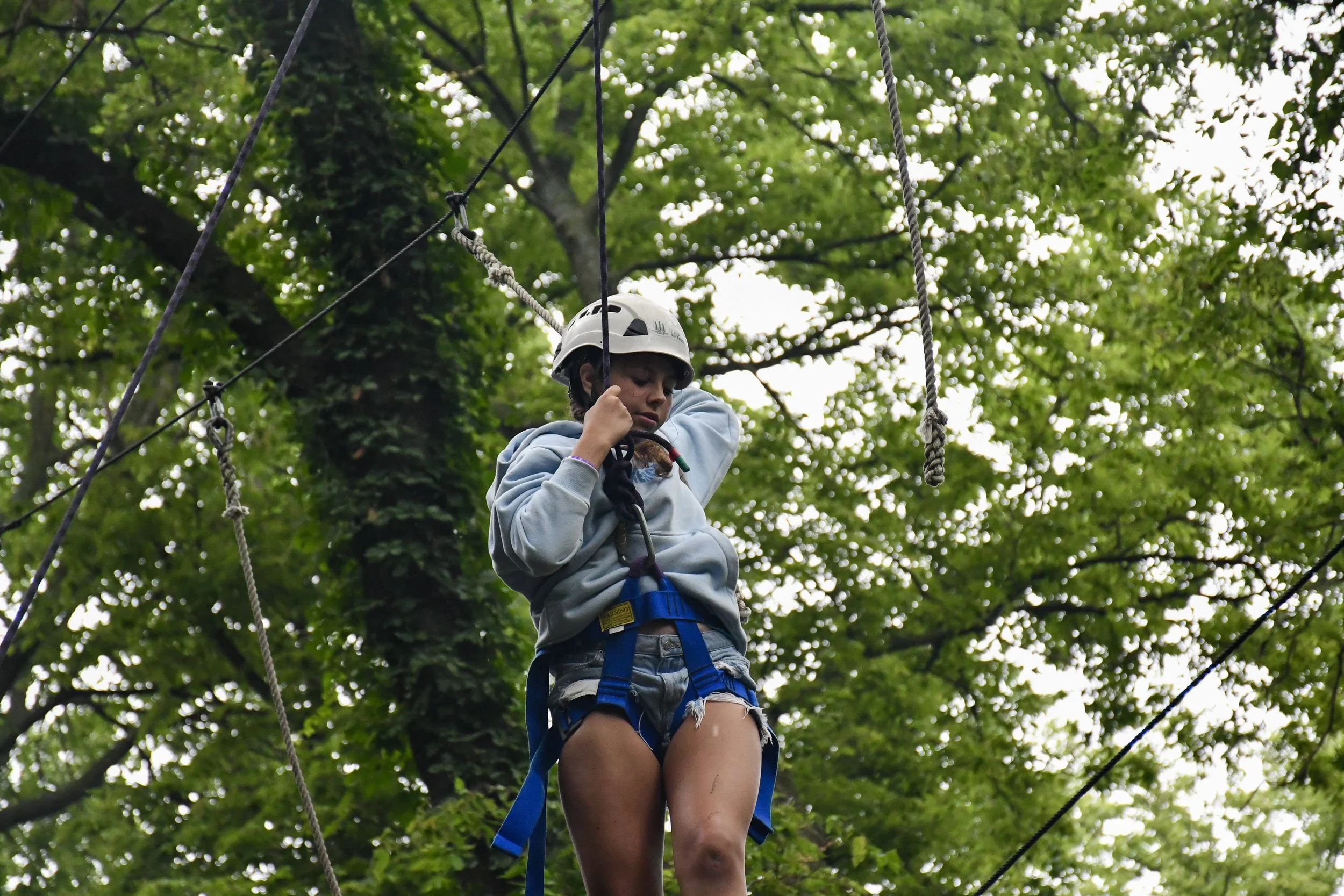 2-DSC_0481.jpg