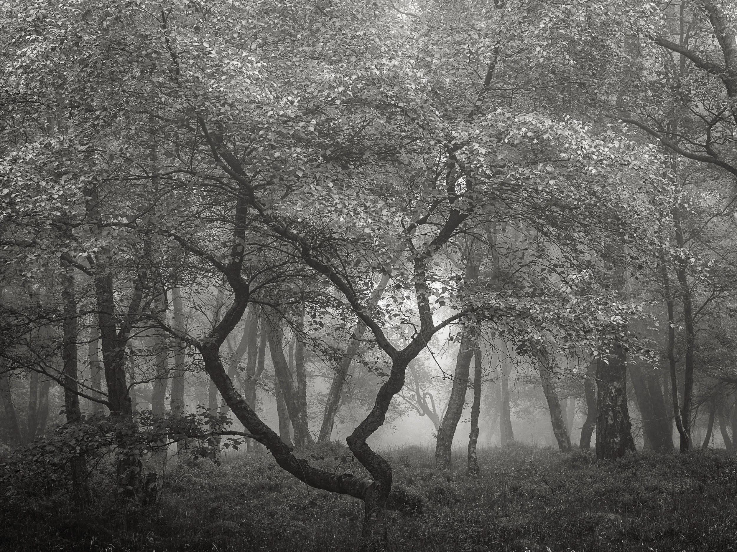 _57A7459 v2-Edit.jpg