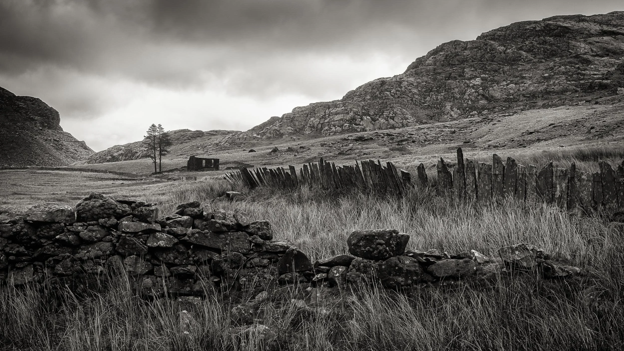_57A9904 v2-Edit.jpg