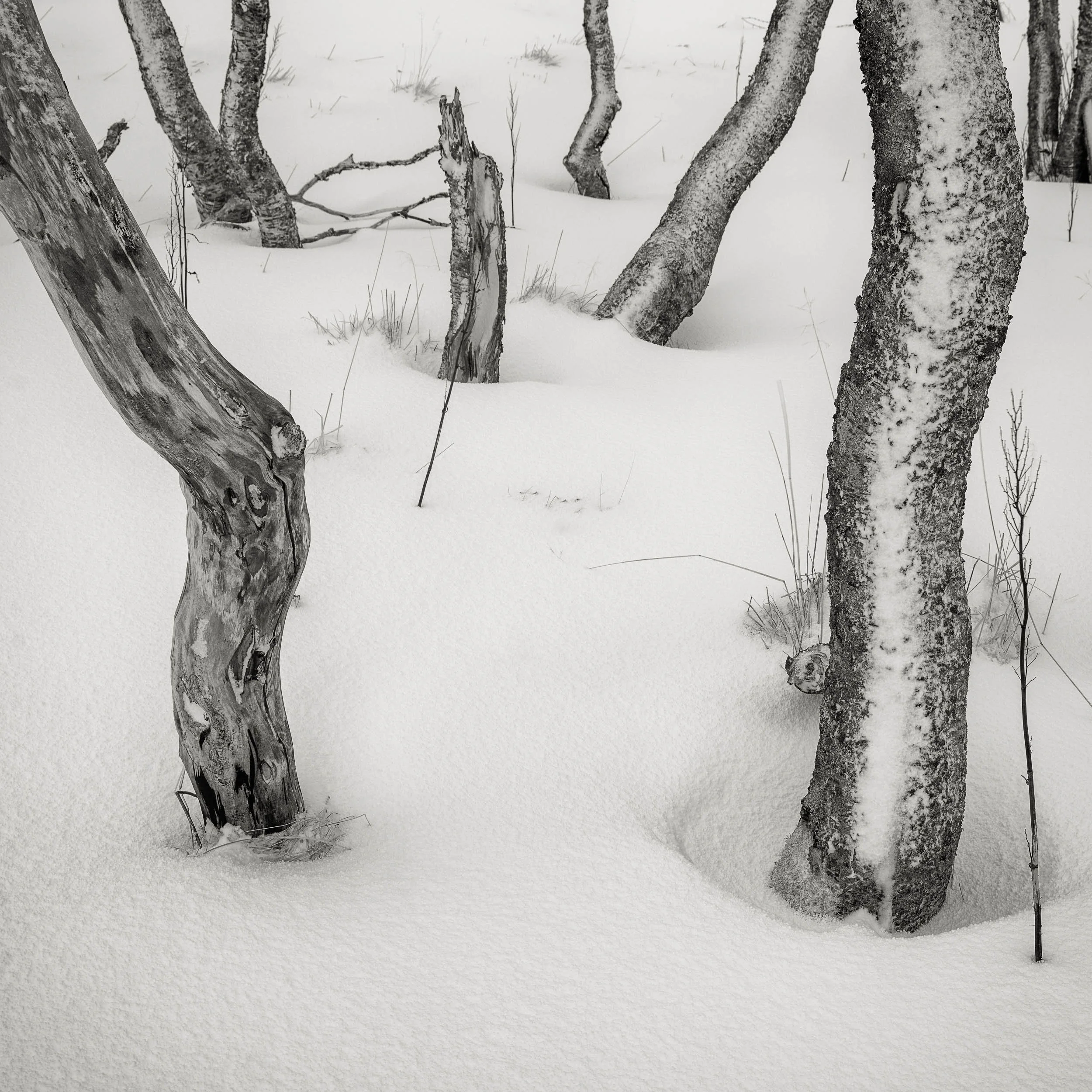 _DSF9076-Edit-2.jpg