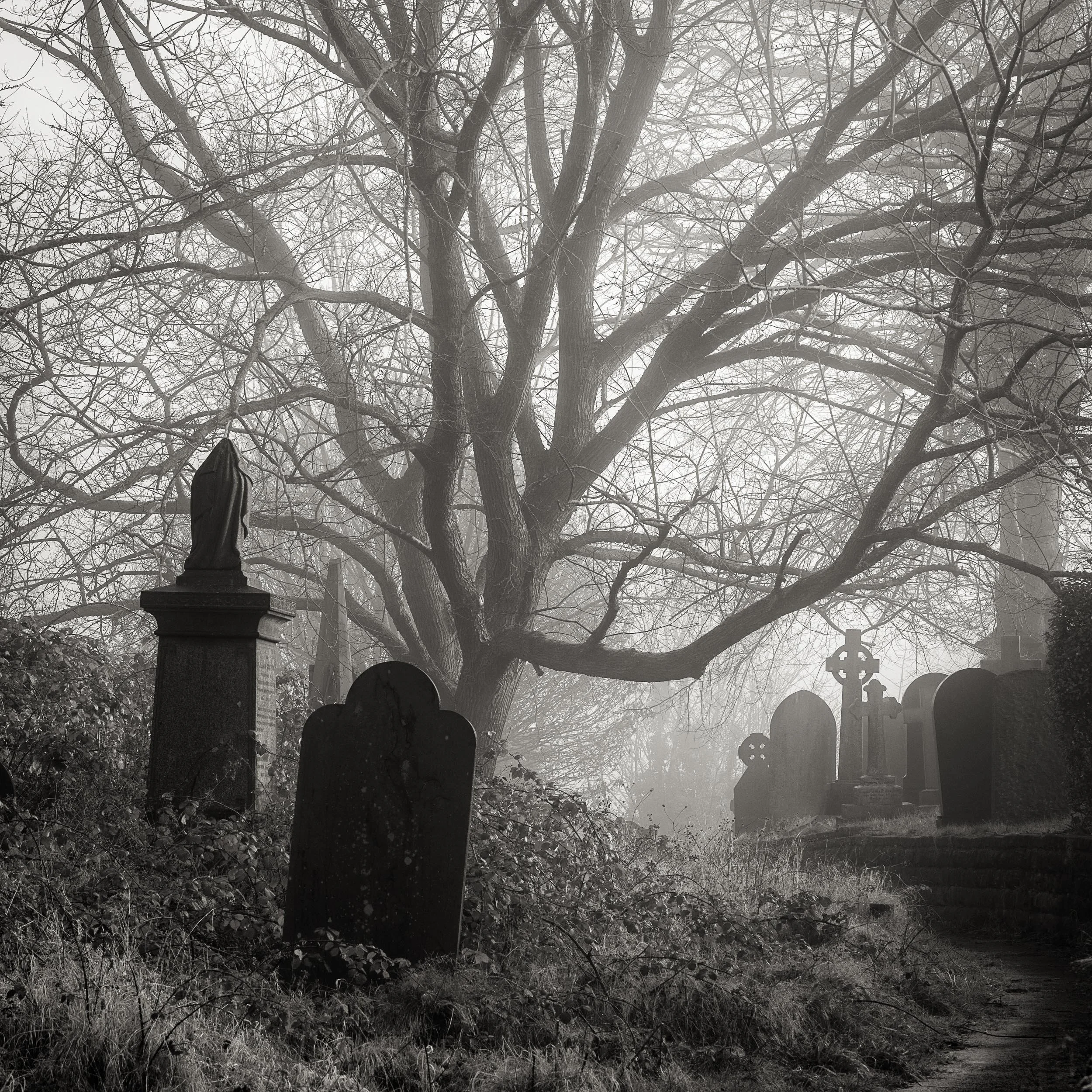 _57A5867 v2-Edit.jpg
