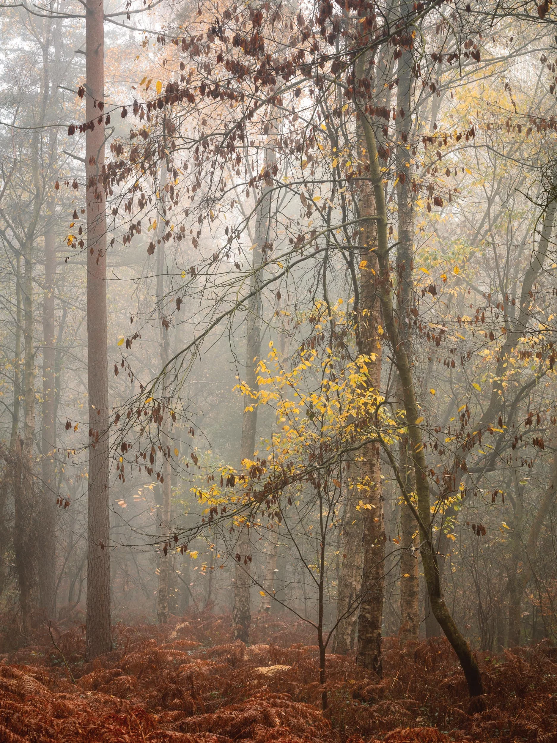 _57A9629.jpg