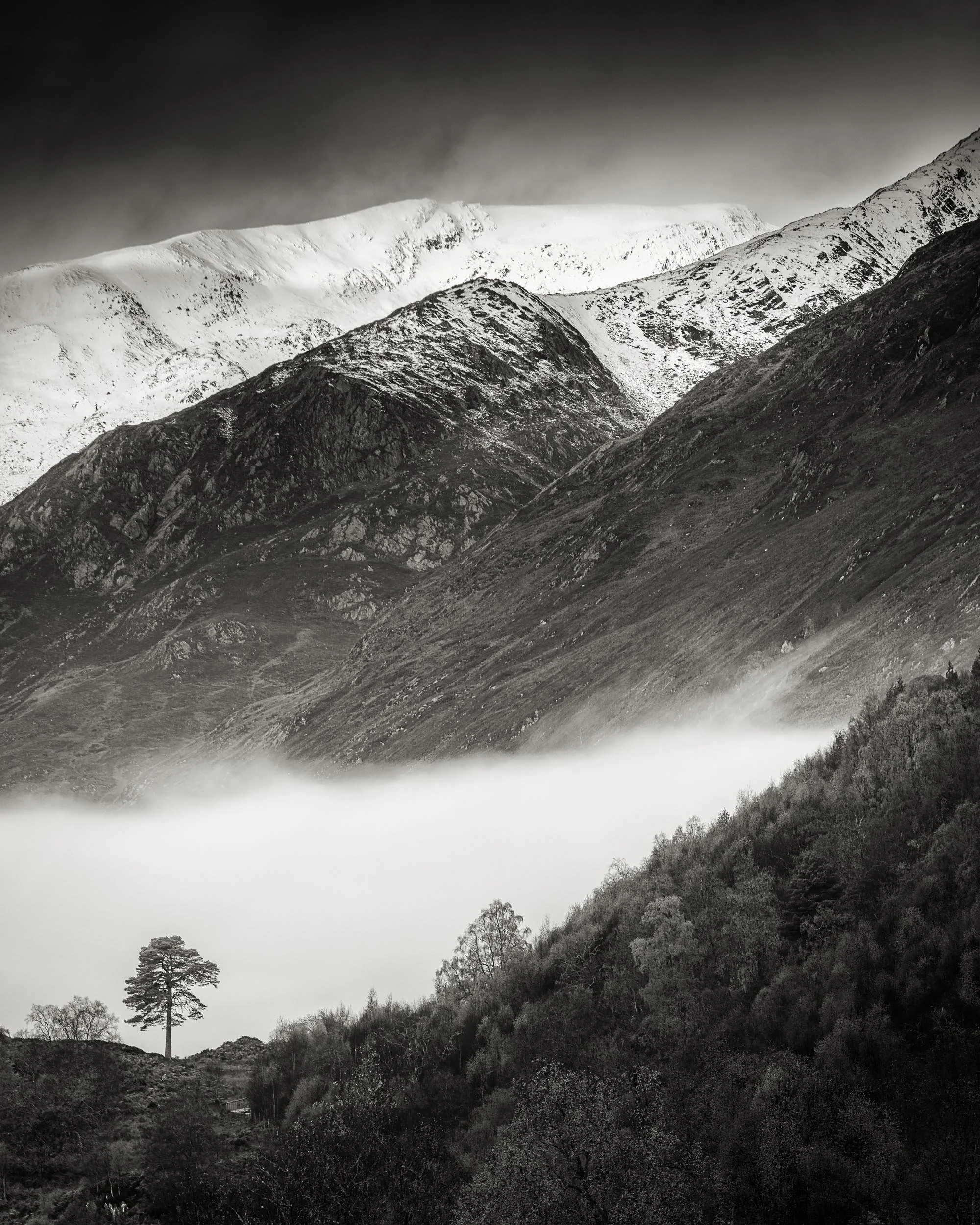 _57A4410-Edit-2.jpg